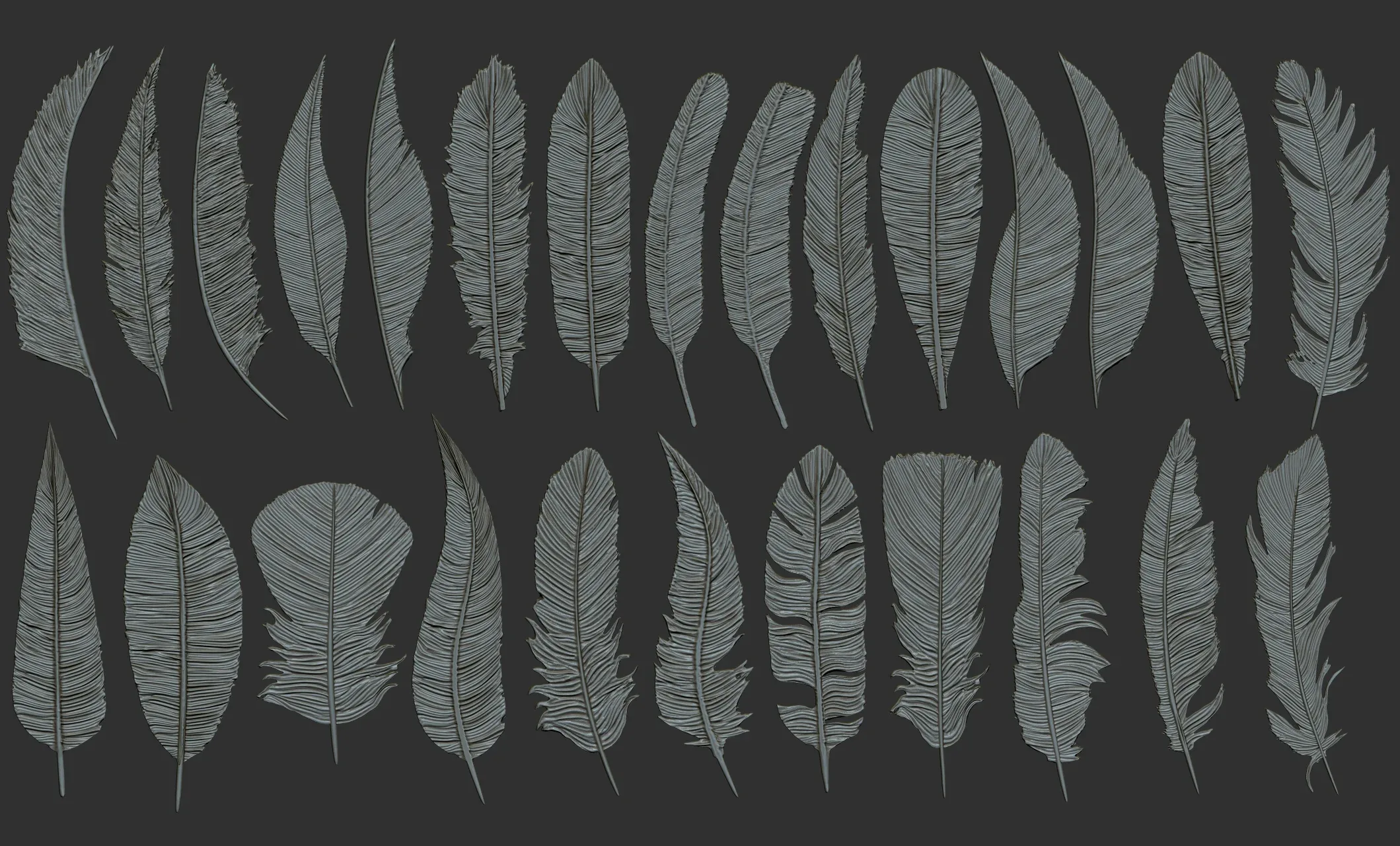 26 Feathers