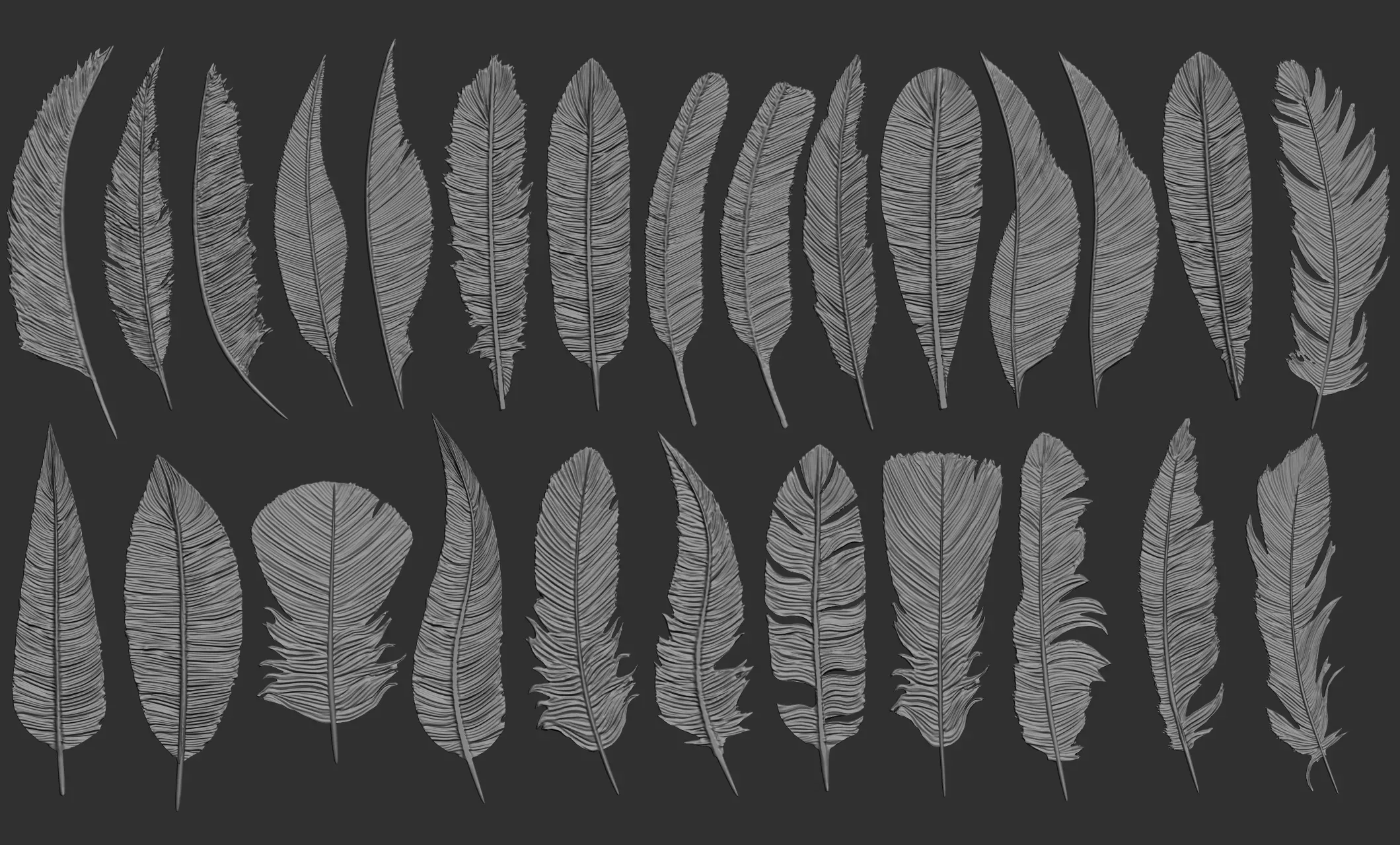 26 Feathers