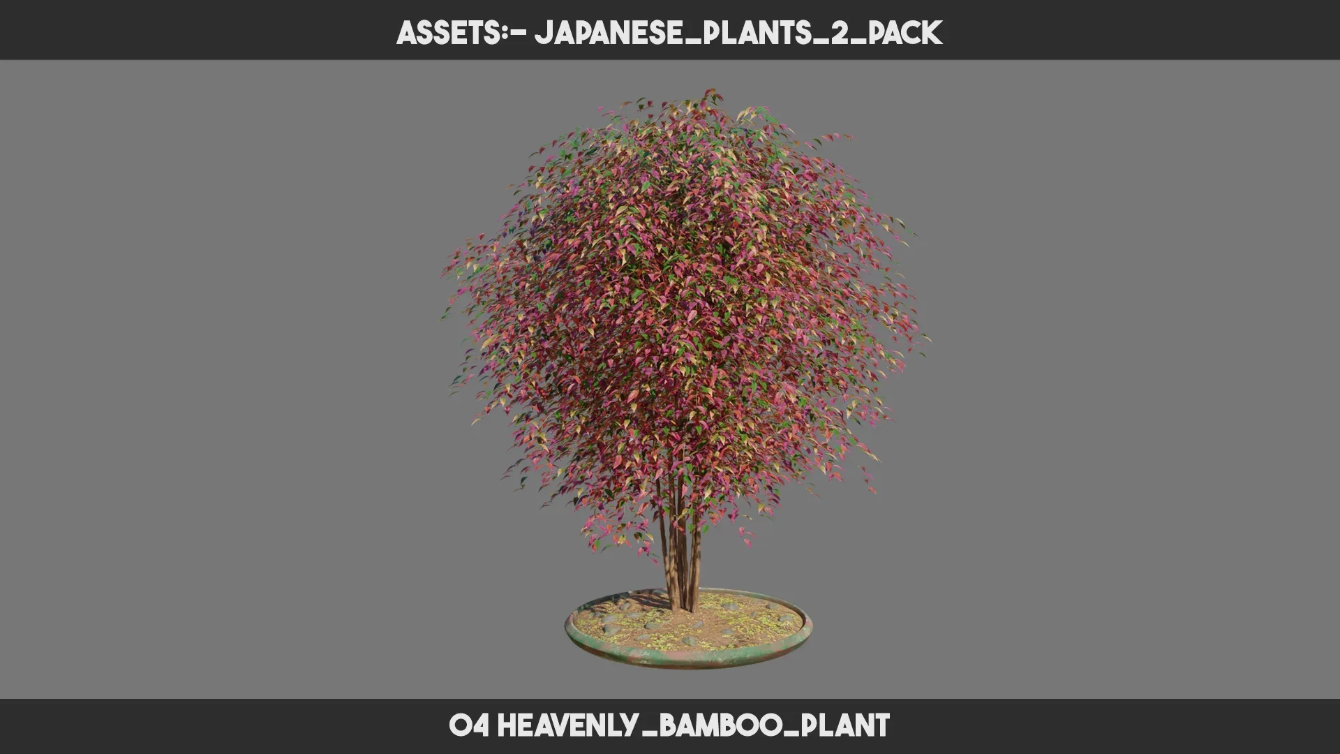 Japanese Plants 2 PACK