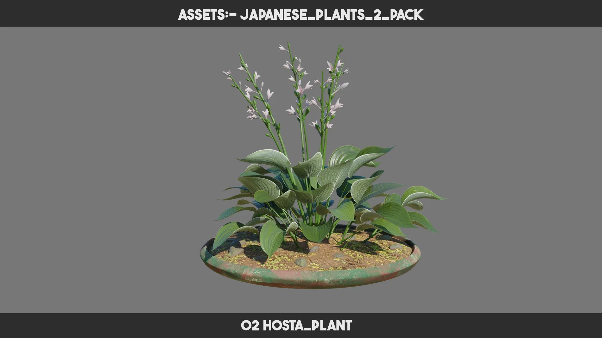 Japanese Plants 2 PACK