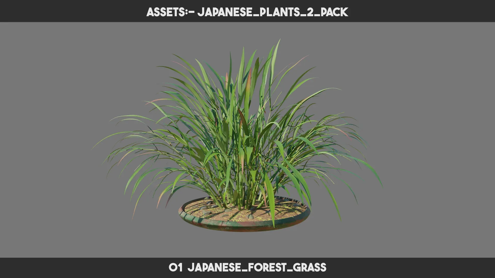 Japanese Plants 2 PACK