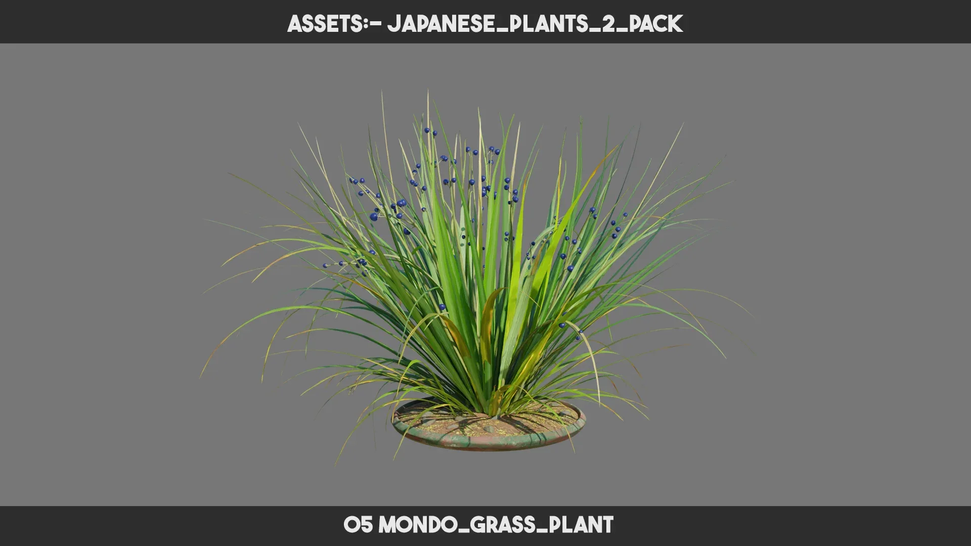 Japanese Plants 2 PACK