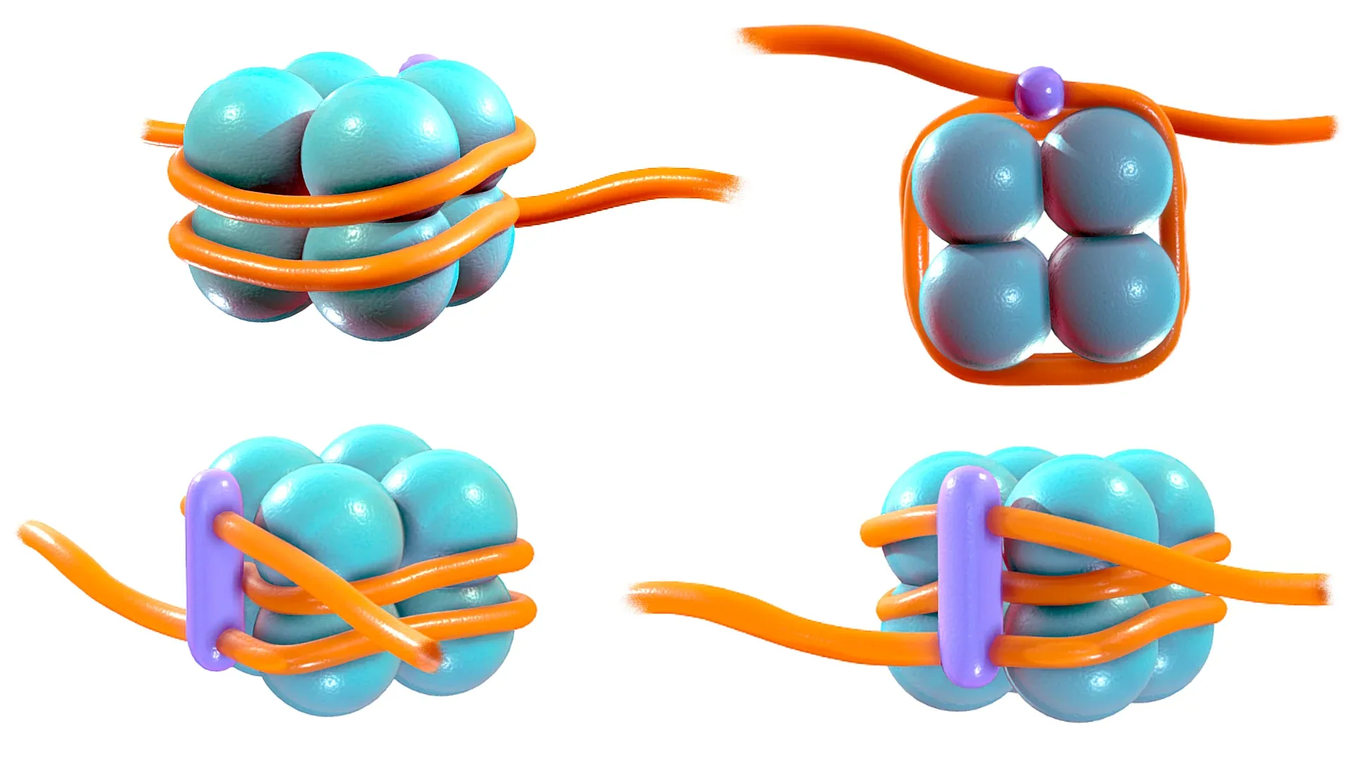 Histone Structure