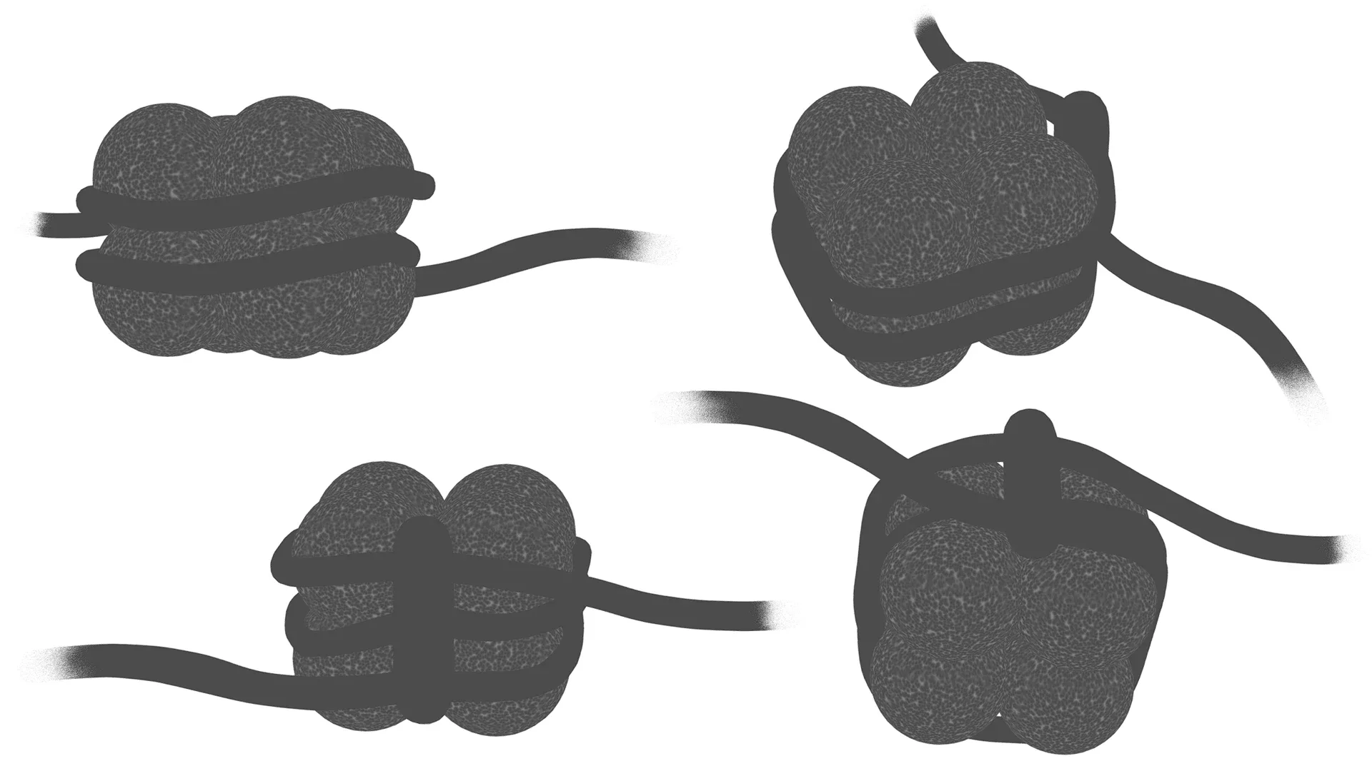 Histone Structure