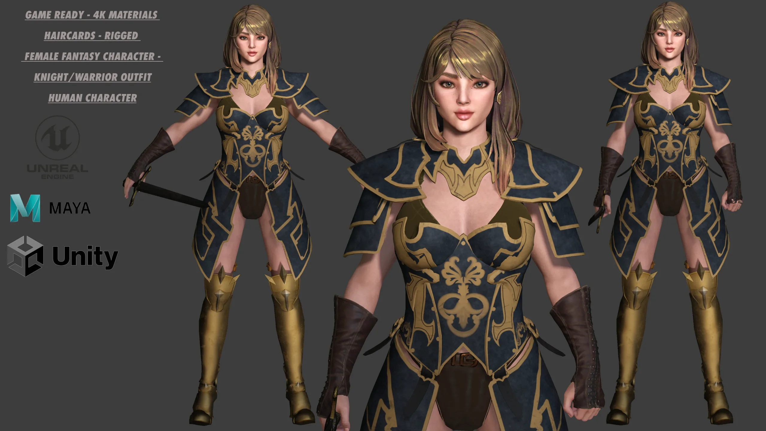 AAA 3D FANTASY FEMALE WARIOR KNIGHT-REALISTIC RIG GAME CHARACTER