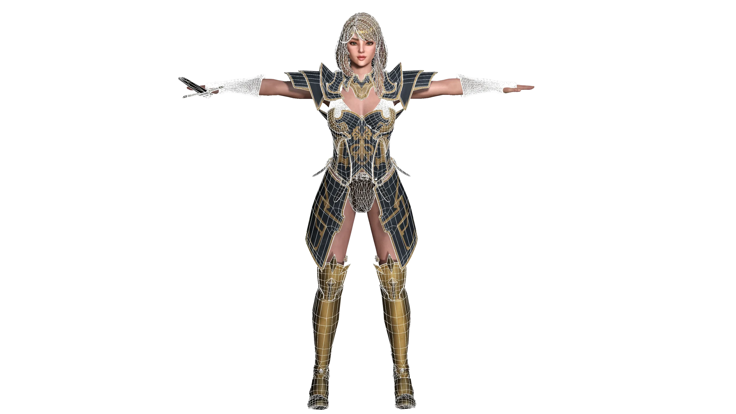 AAA 3D FANTASY FEMALE WARIOR KNIGHT-REALISTIC RIG GAME CHARACTER