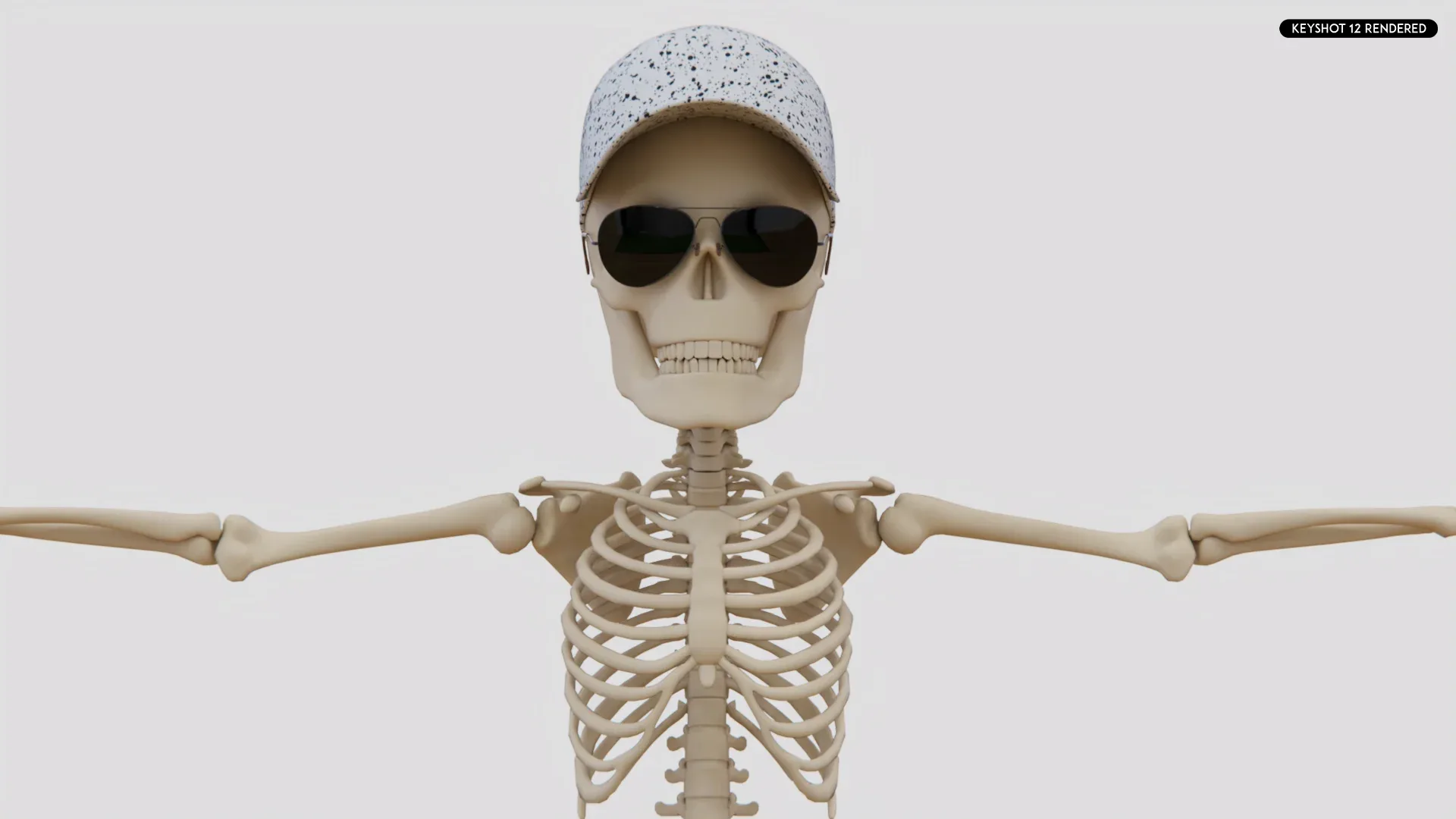 Human Cartoon Skeleton Stylized