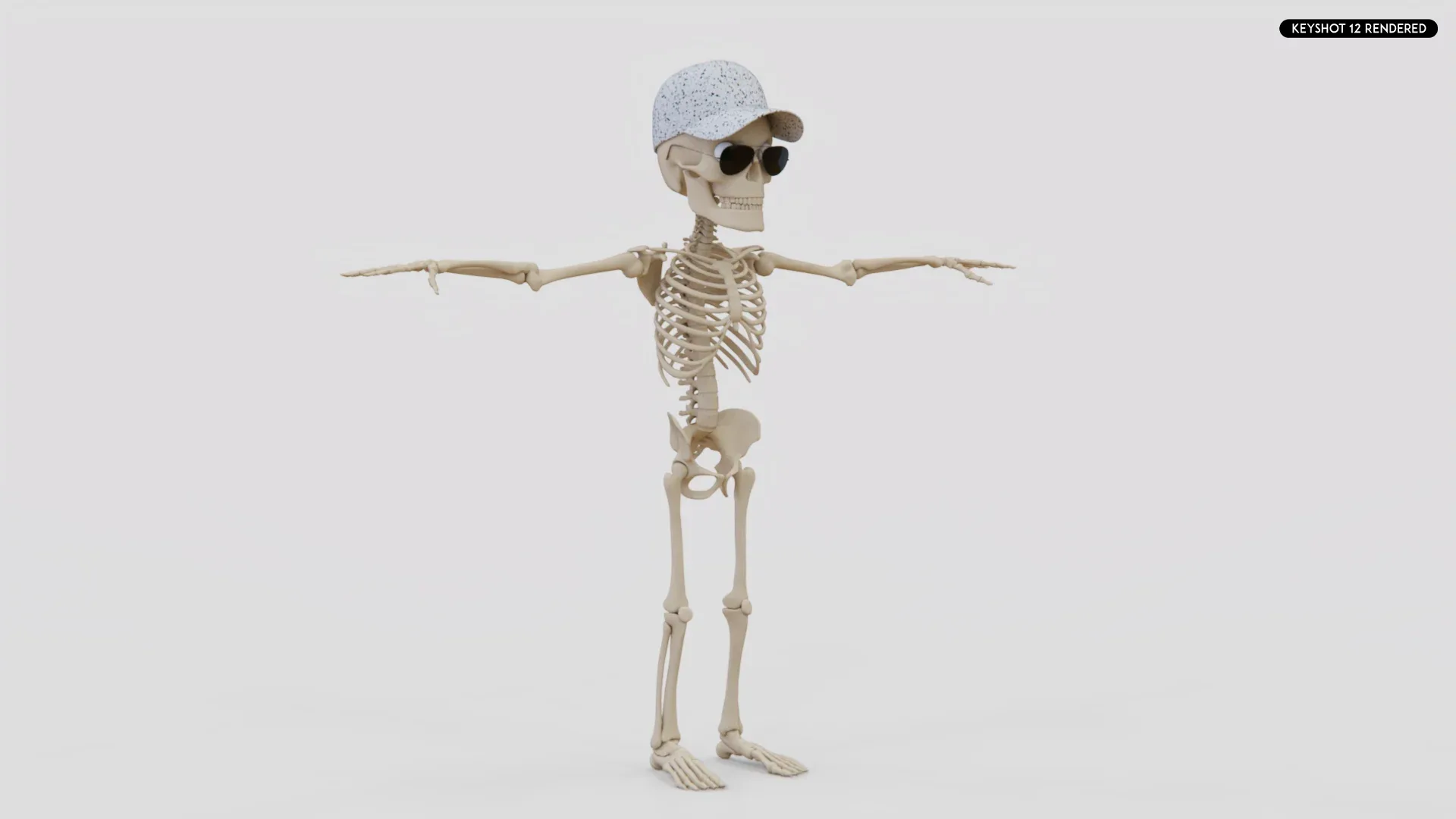 Human Cartoon Skeleton Stylized