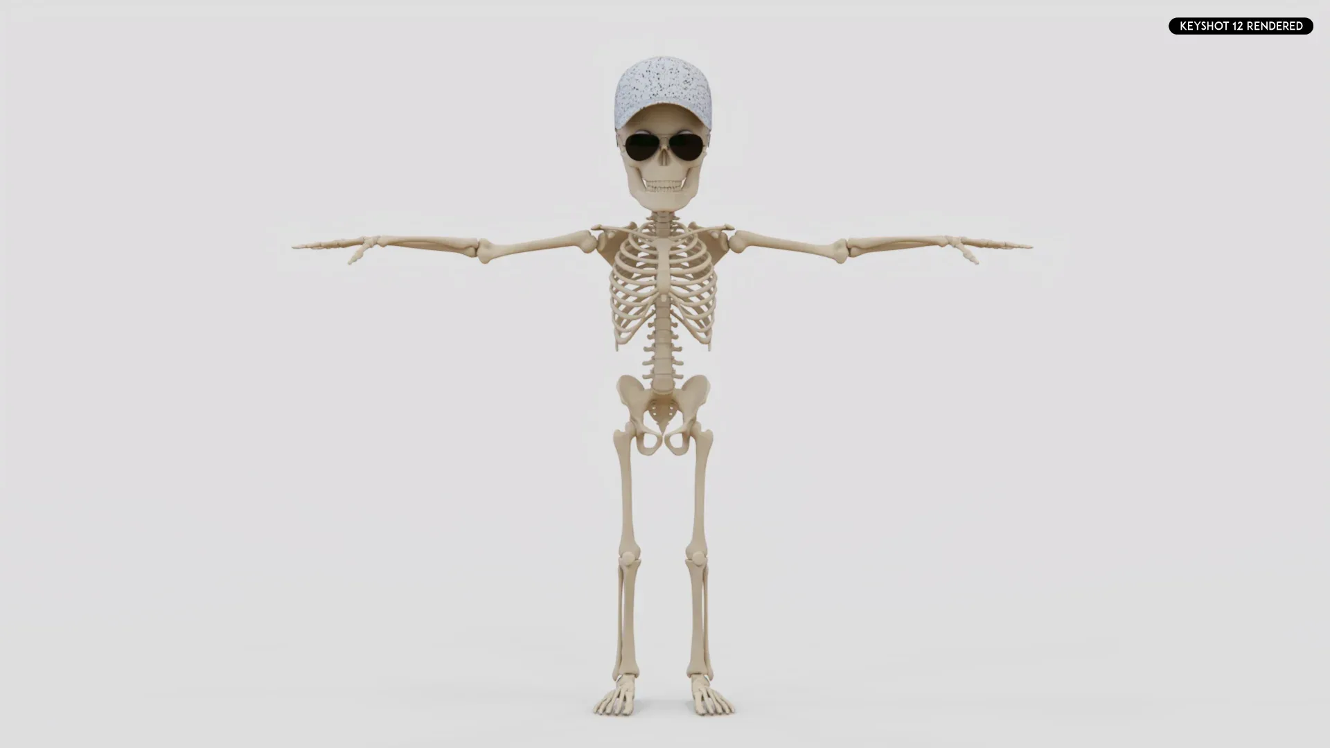 Human Cartoon Skeleton Stylized