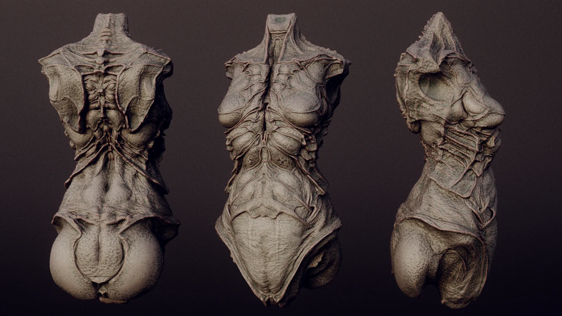 DEMONESS part 2 : 40 Torsos