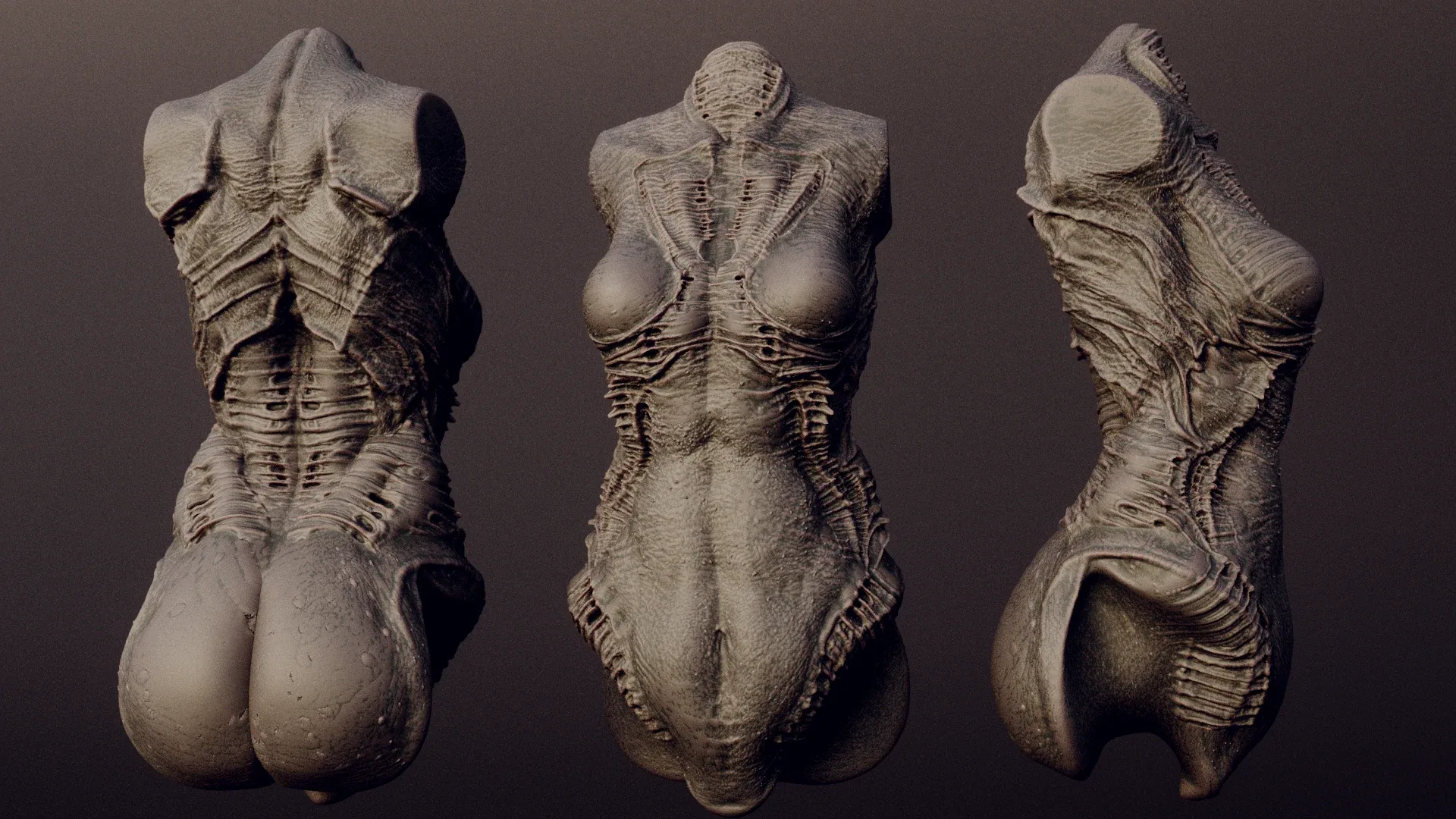 DEMONESS part 2 : 40 Torsos