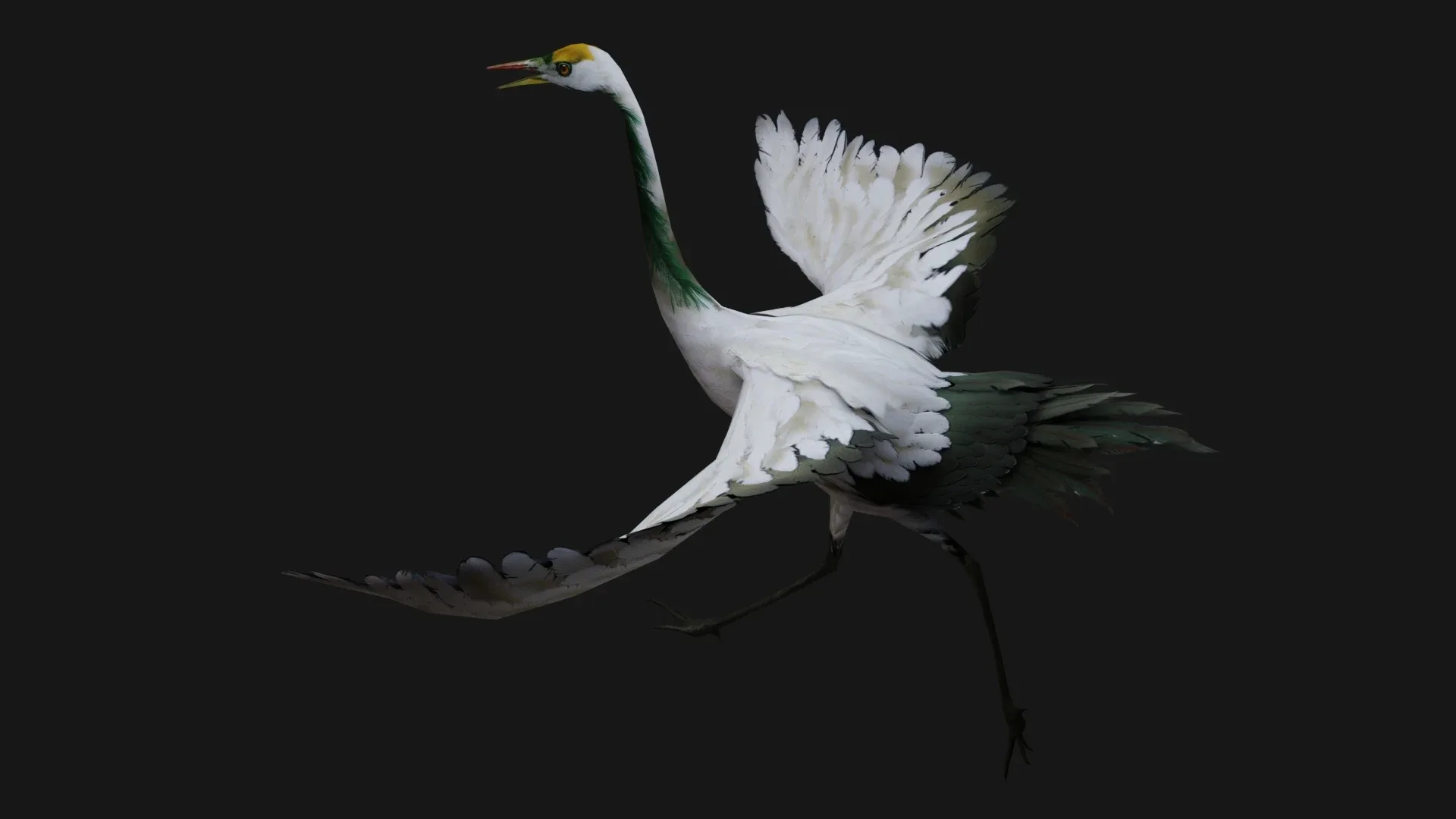 Crane Bird_A4