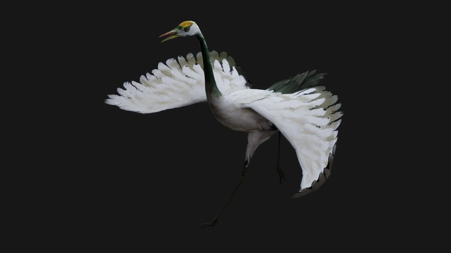 Crane Bird_A4