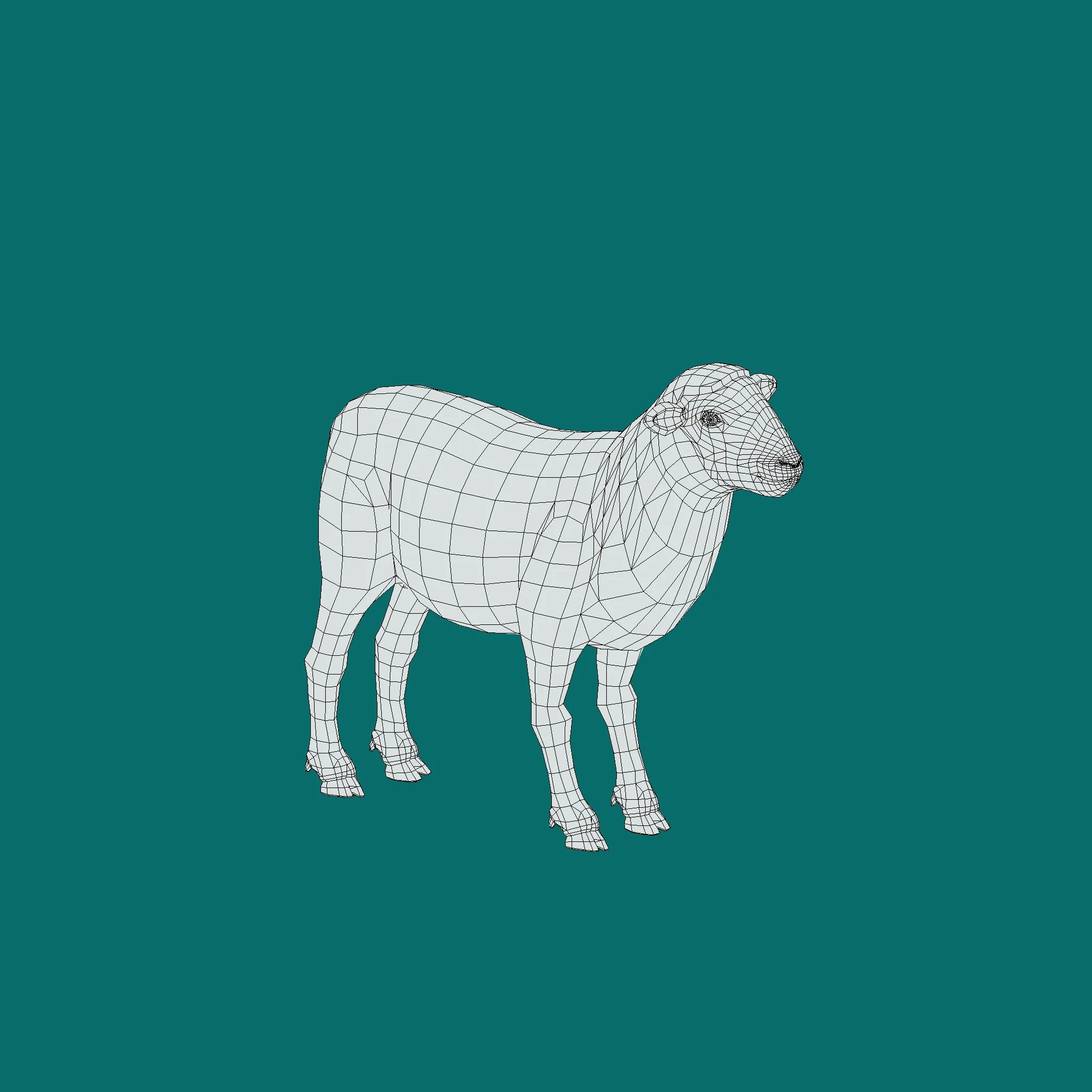 Suffolk Sheep Animal