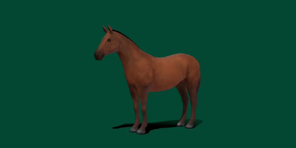 American Quarter Horse Animals