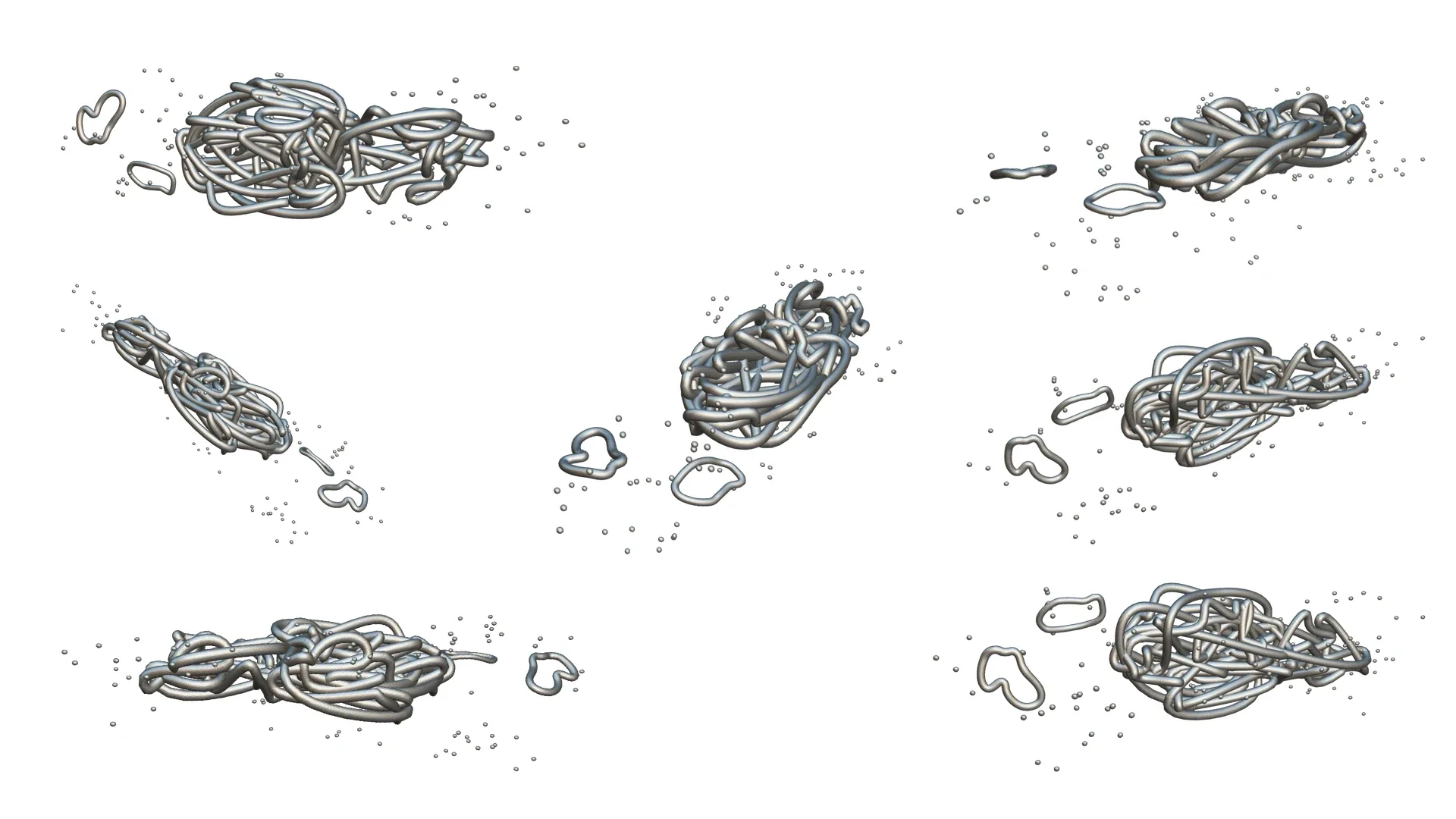 Prokaryotic Bacteria Cell Anatomy