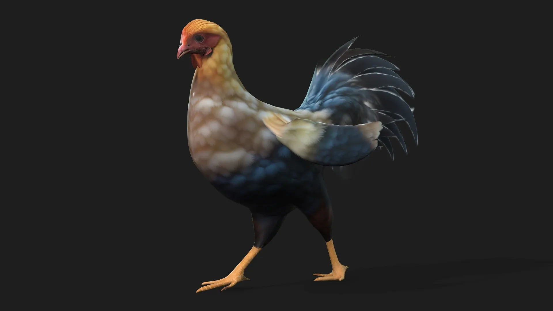 Chicken_A1