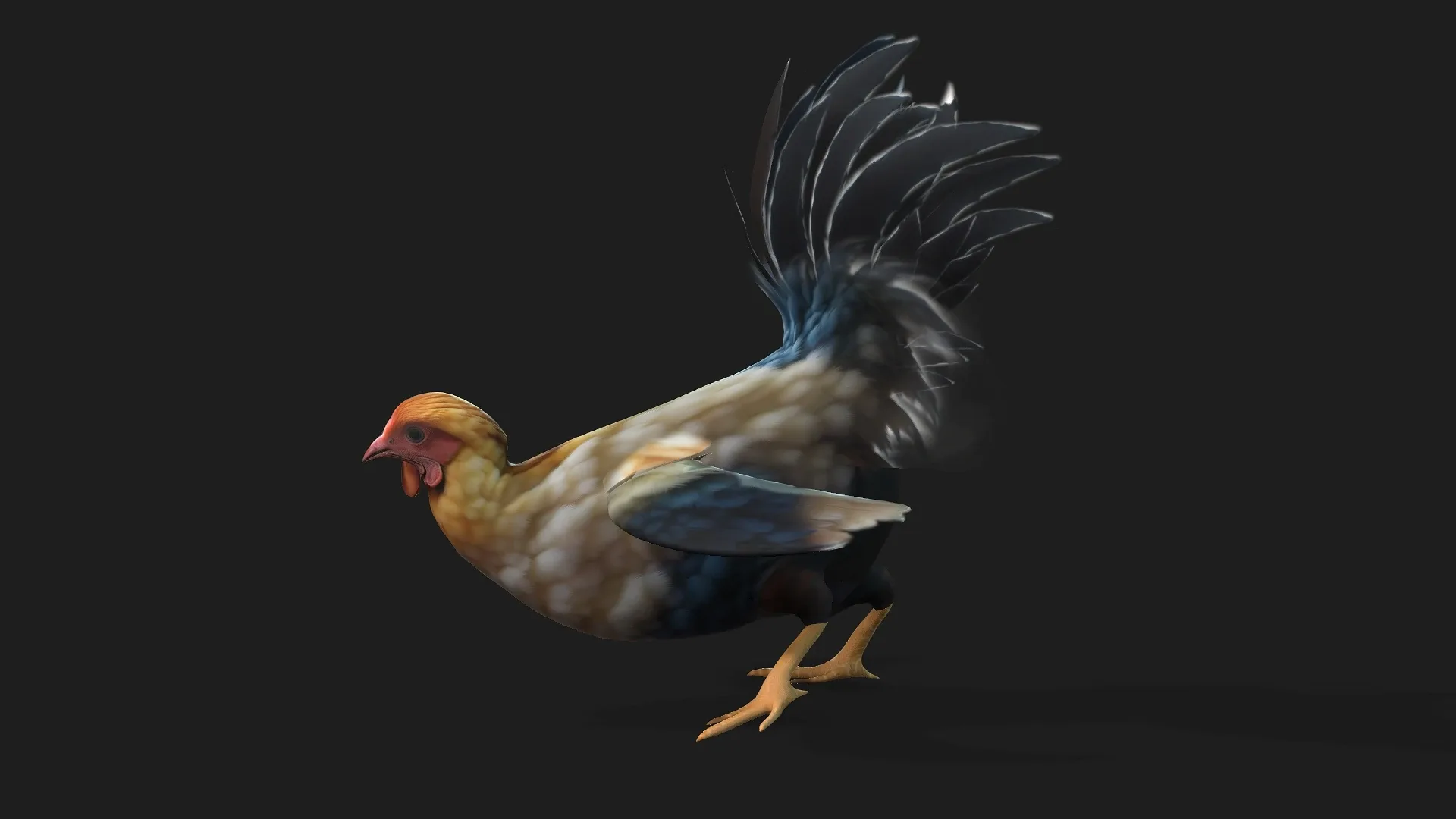 Chicken_A1