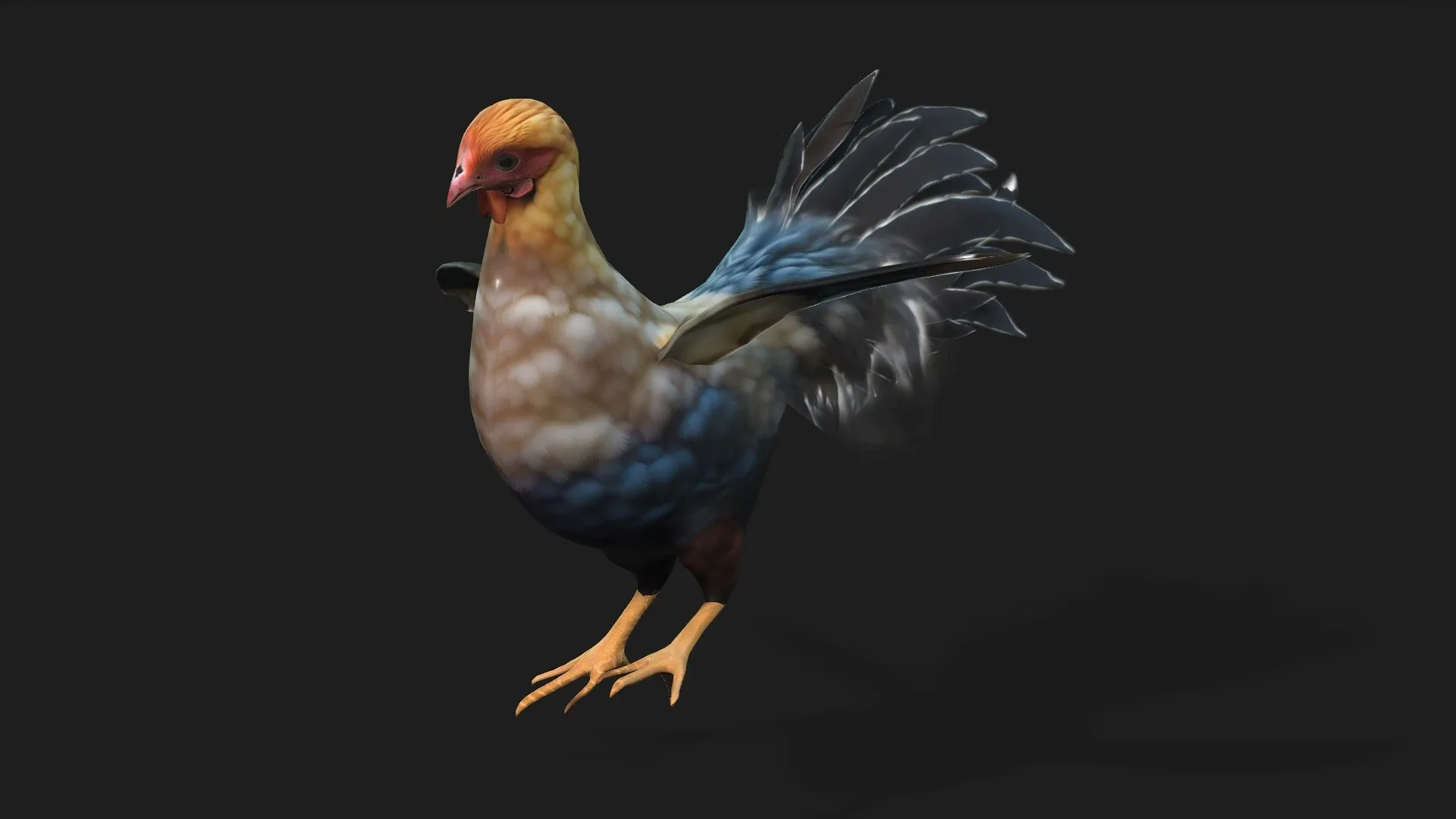 Chicken_A1