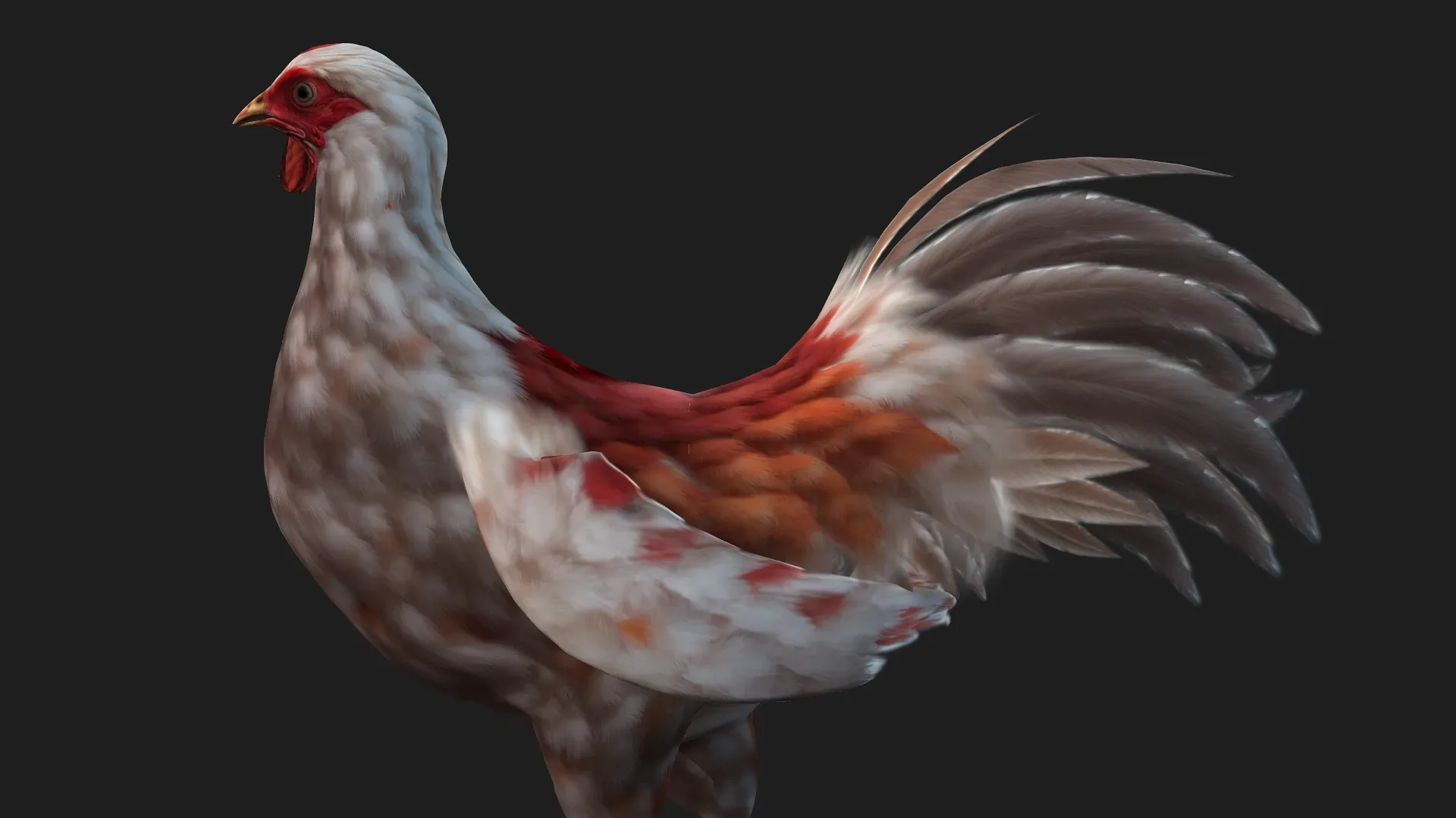 Chicken_A2