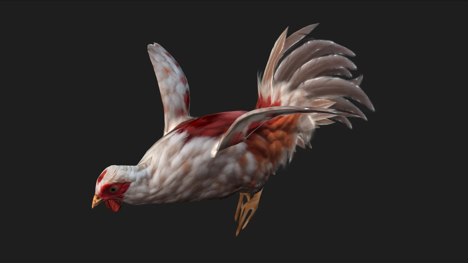 Chicken_A2