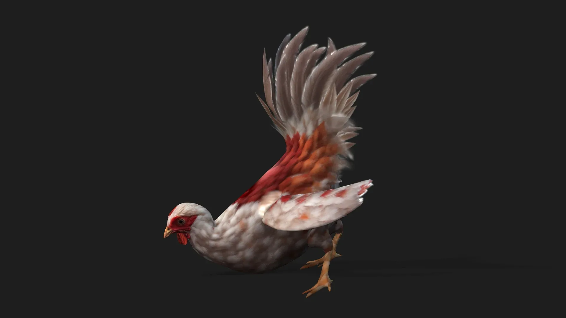 Chicken_A2