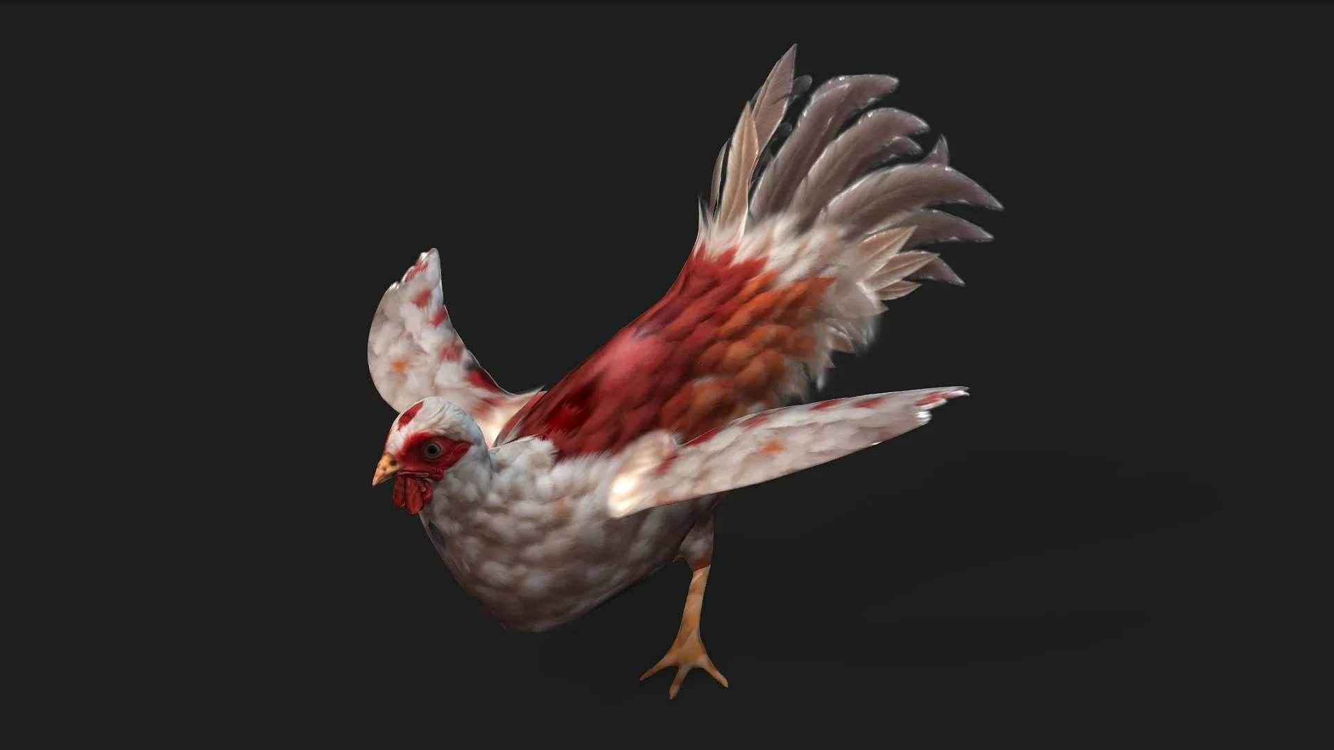 Chicken_A2