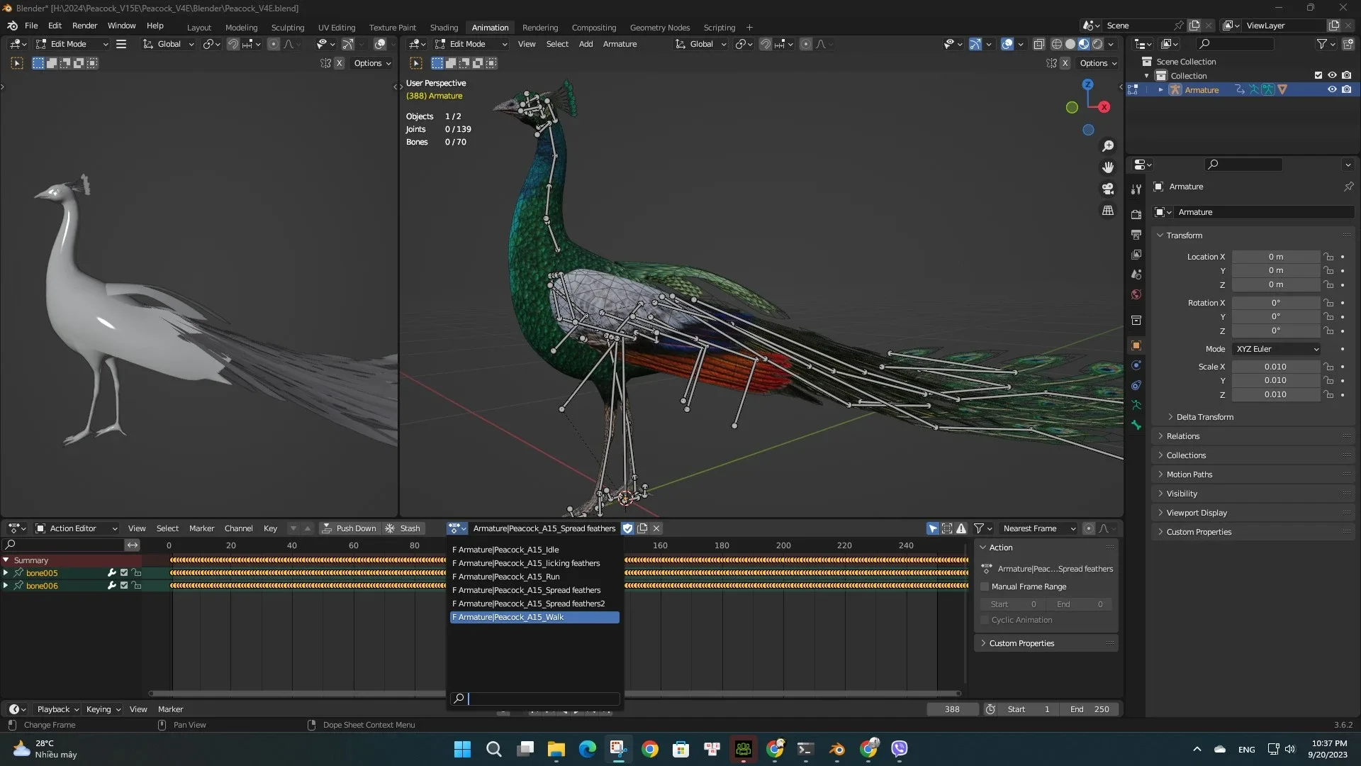 Peacock_V4E