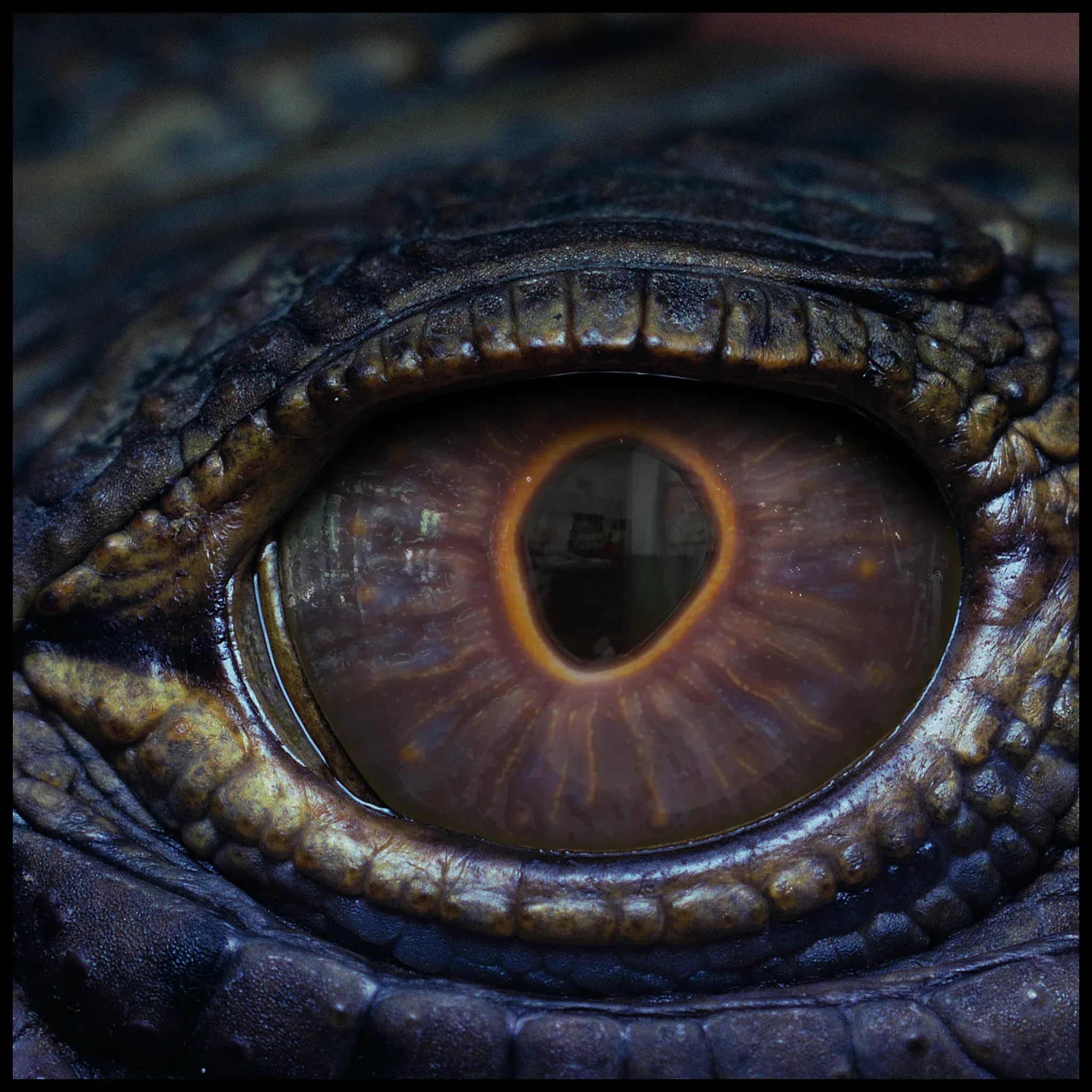 Creature Eyes Vol 11 - PBR