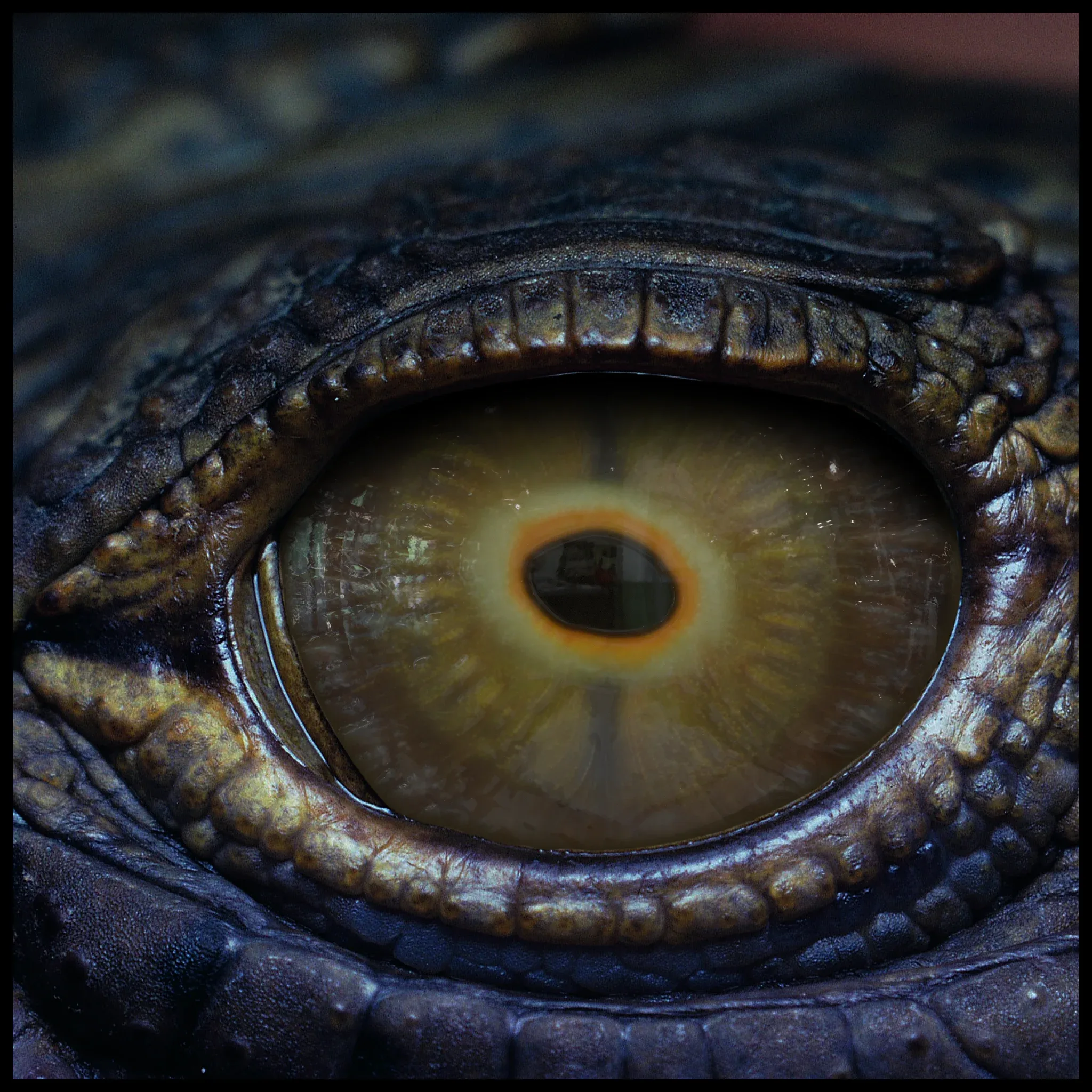 Creature Eyes Vol 11 - PBR