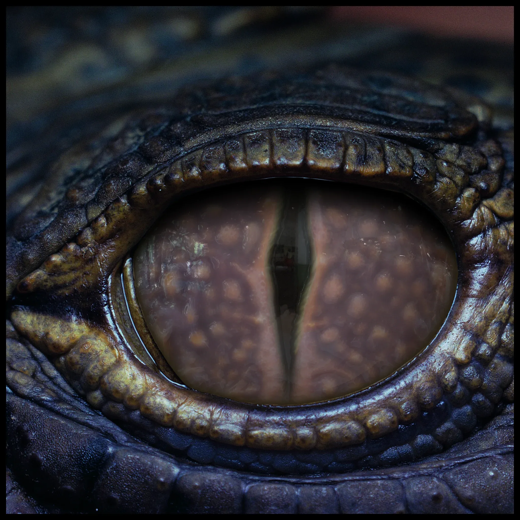 Creature Eyes Vol 11 - PBR