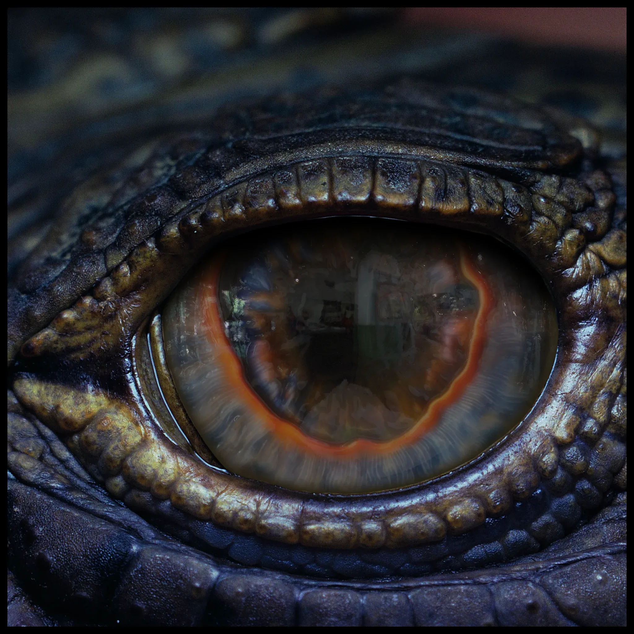 Creature Eyes Vol 11 - PBR