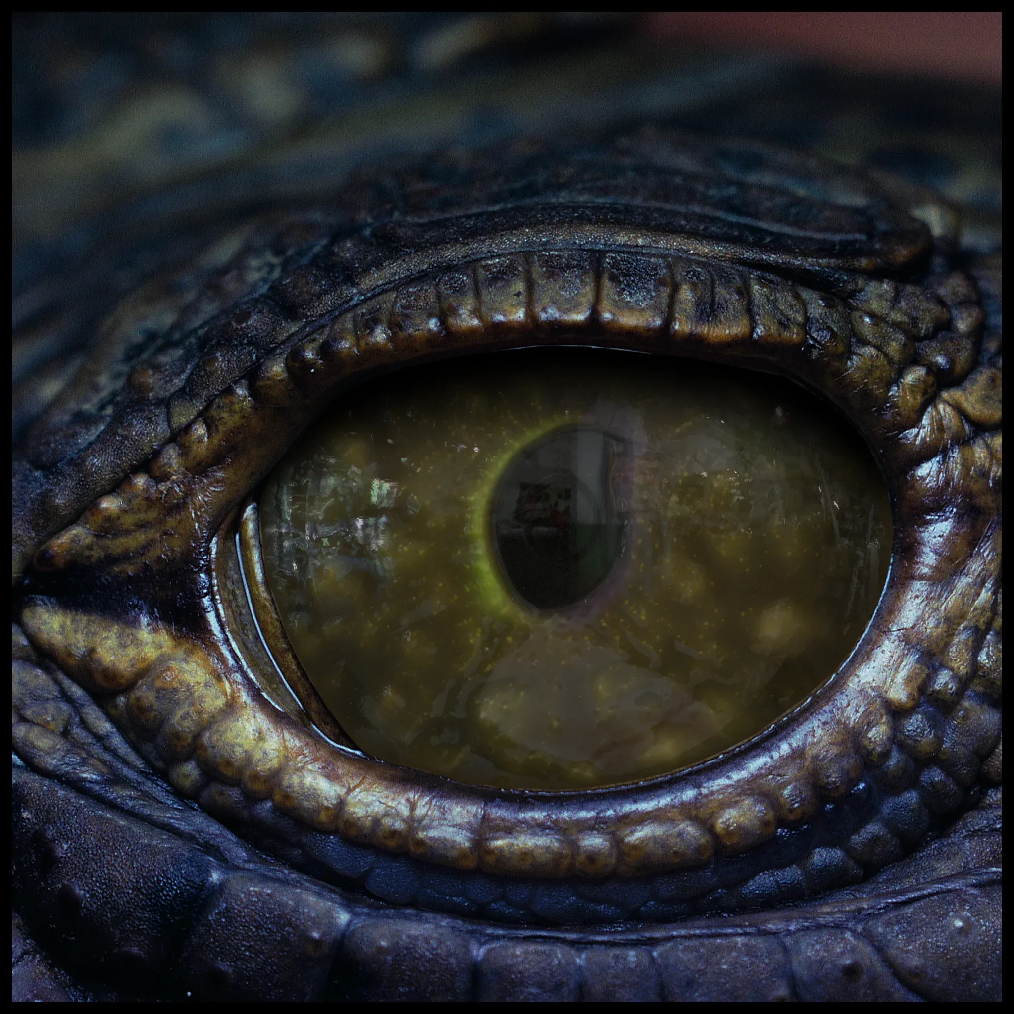 Creature Eyes Vol 11 - PBR