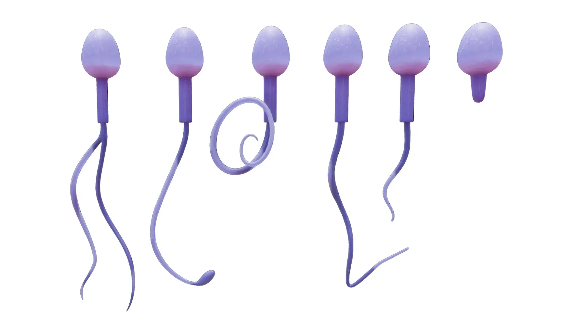 Sperm Morphology: Normal and Abnormal