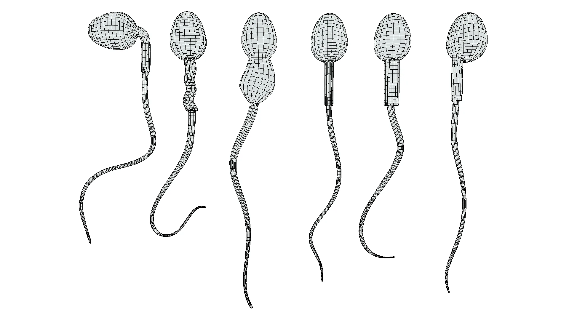 Sperm Morphology: Normal and Abnormal