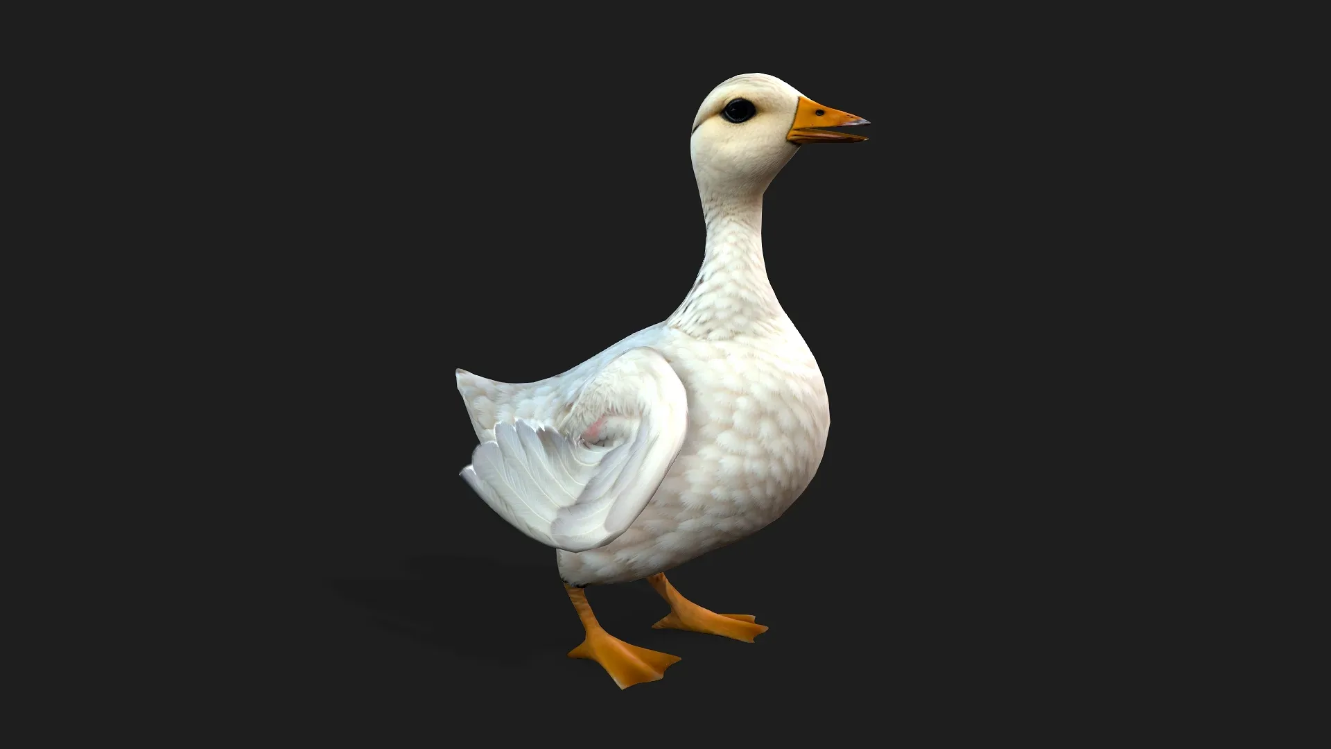 Duck_A1