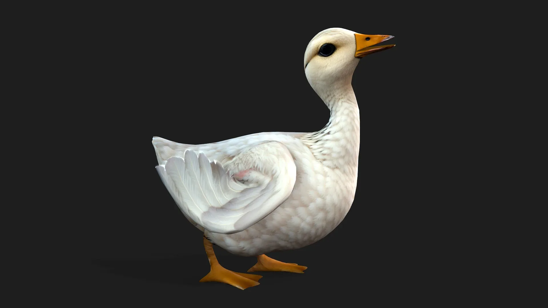 Duck_A1