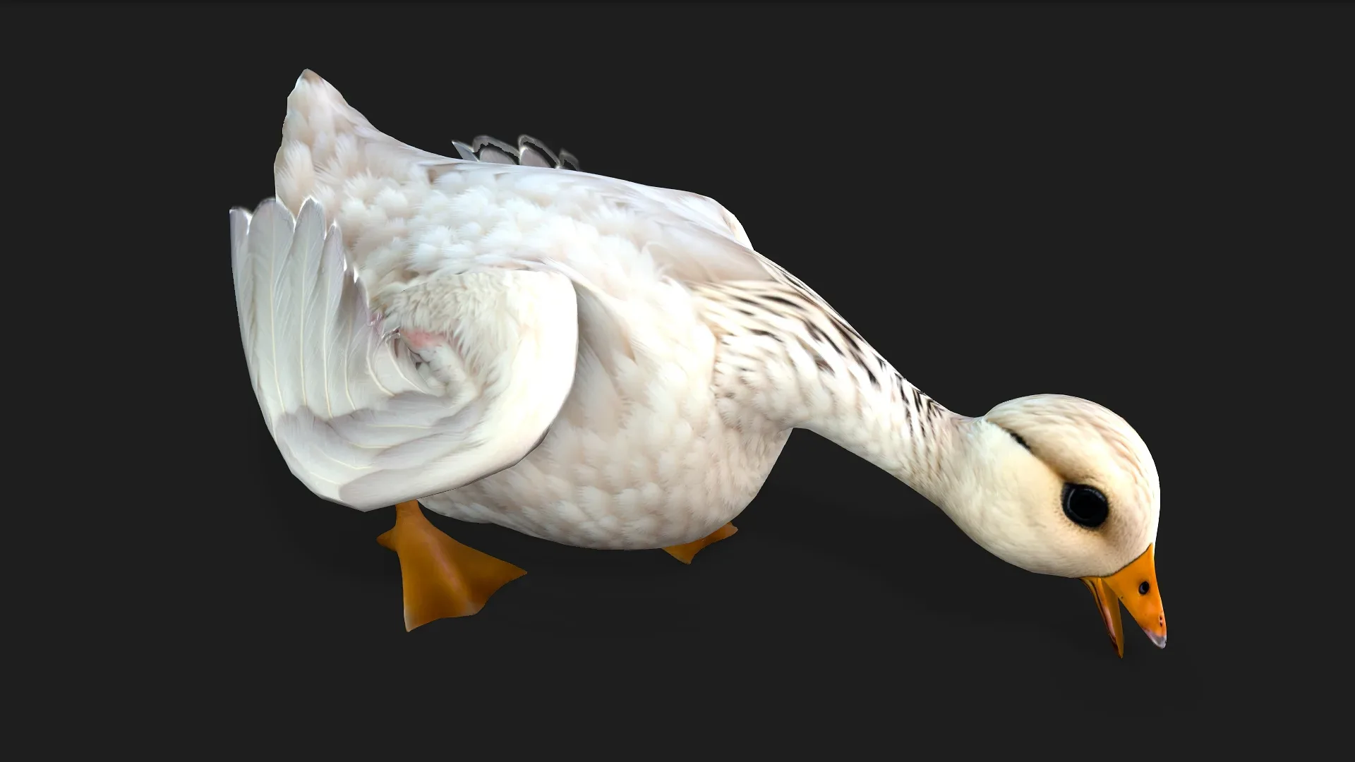 Duck_A1