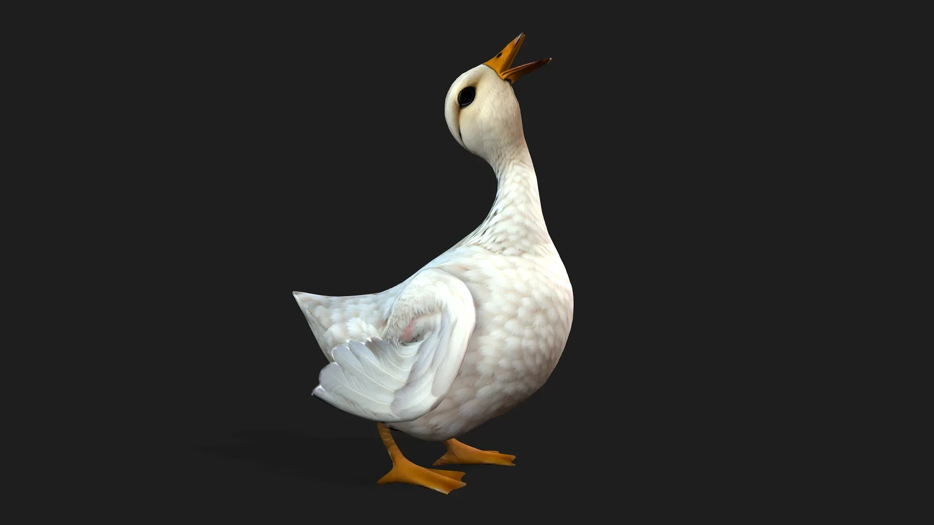Duck_A1