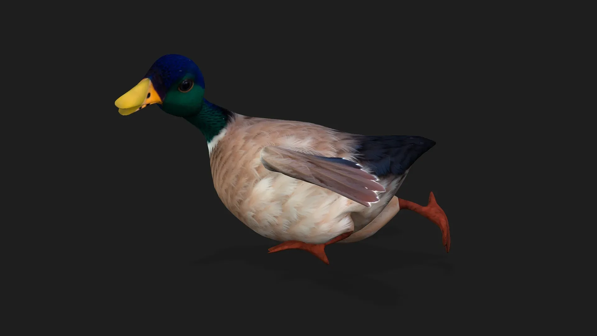Duck_A2