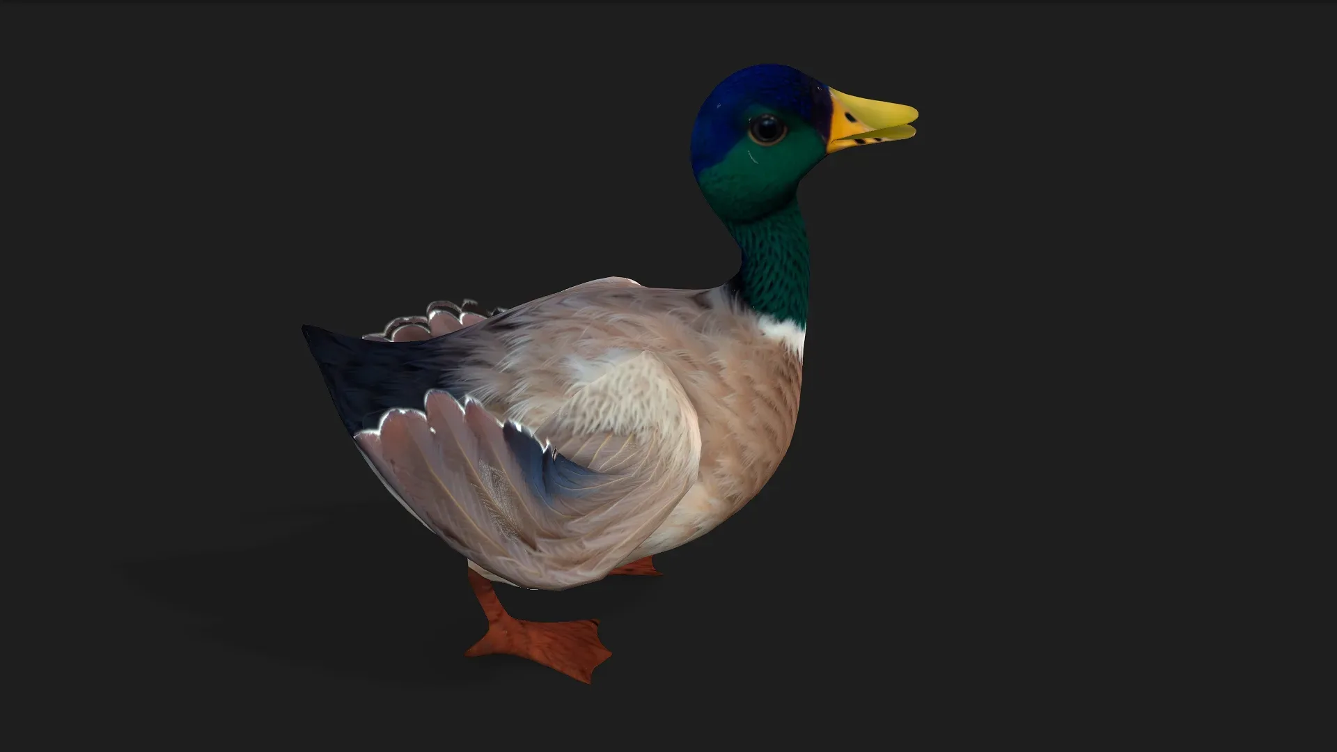 Duck_A2