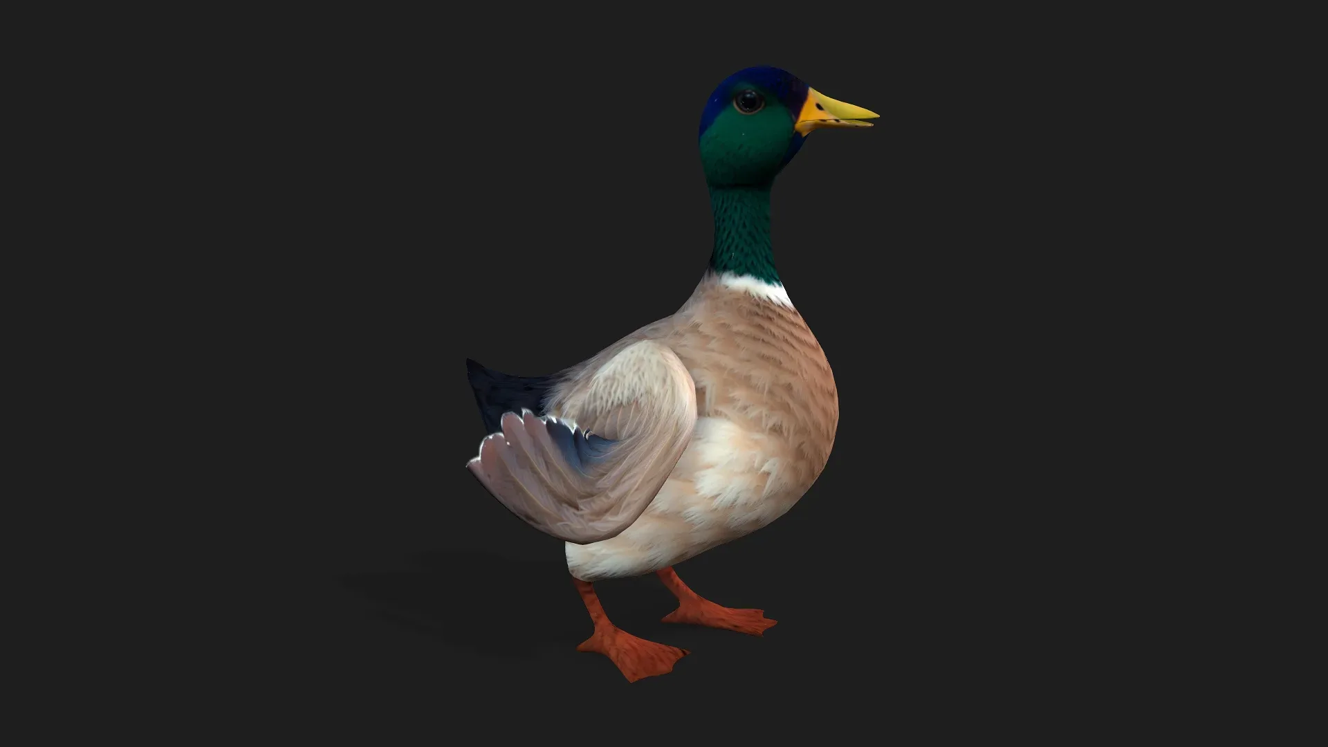 Duck_A2