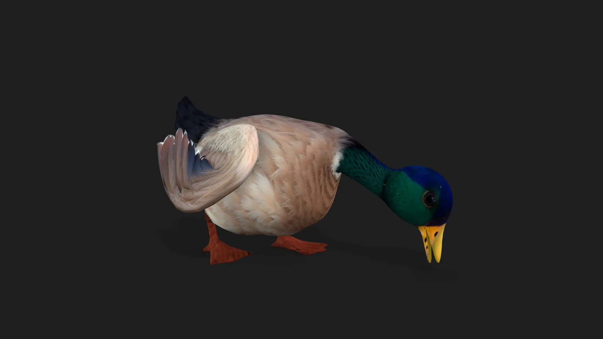 Duck_A2