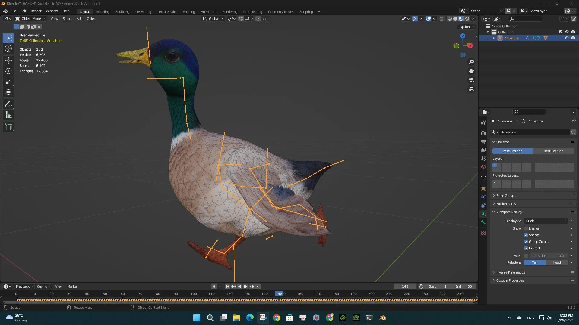 Duck_A2