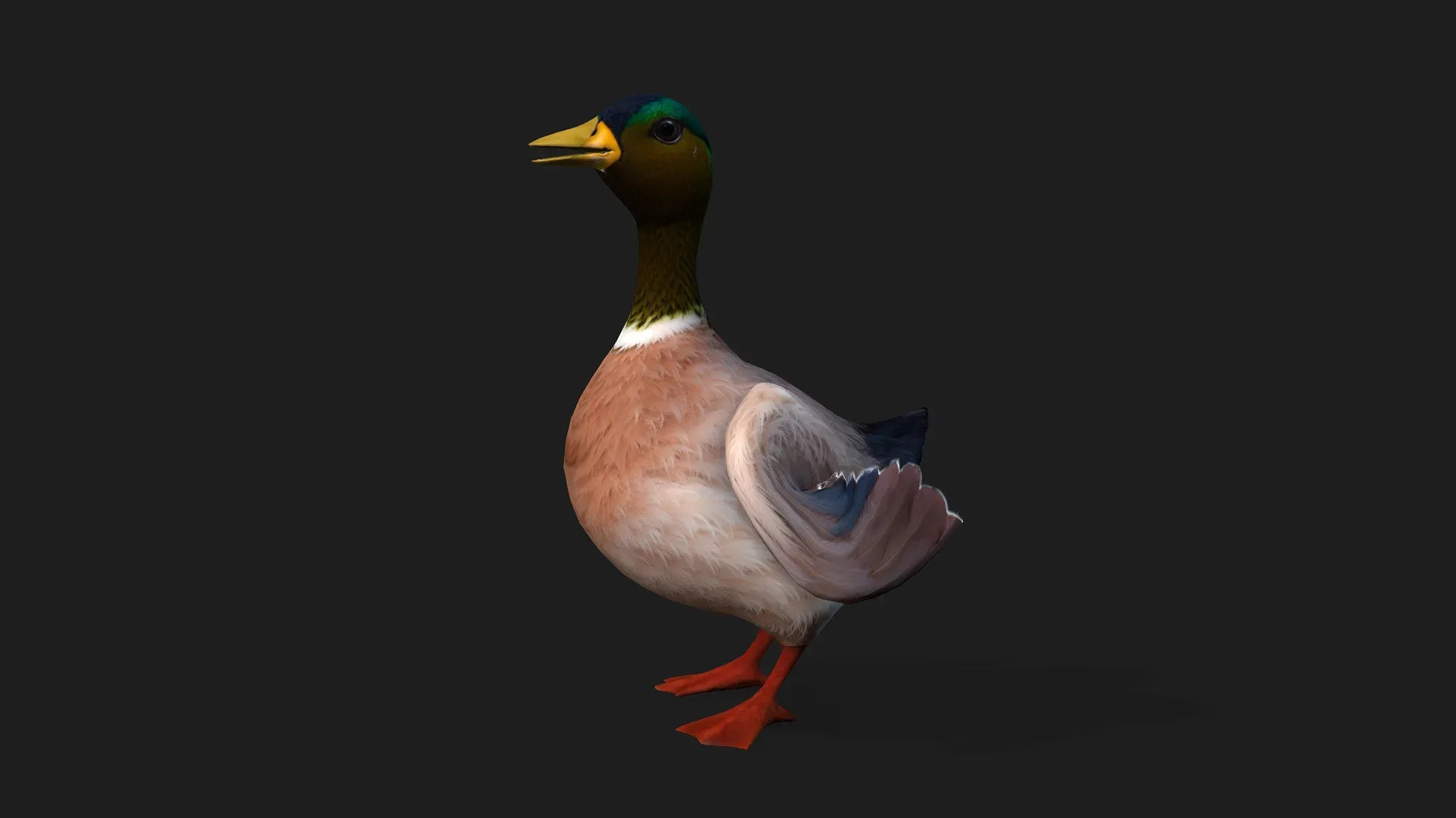 Duck_A3