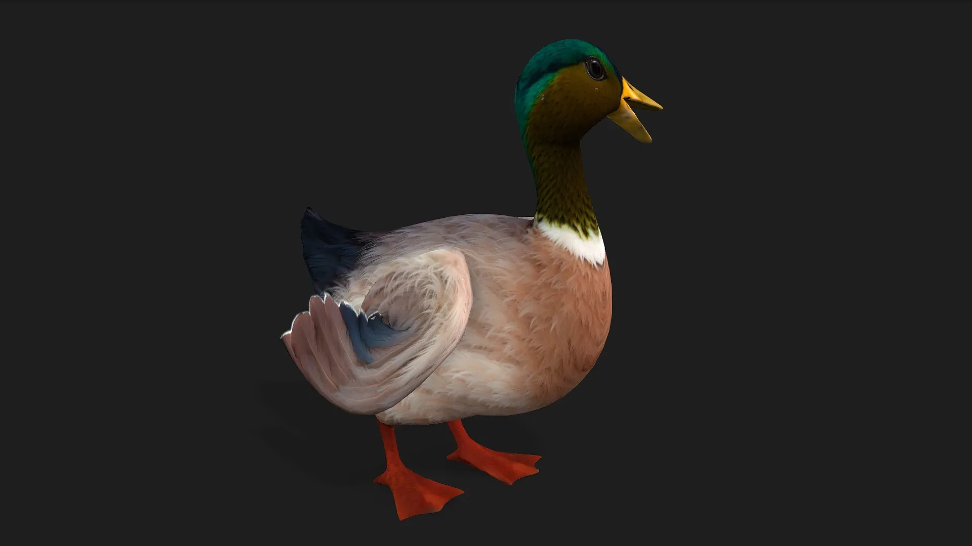 Duck_A3