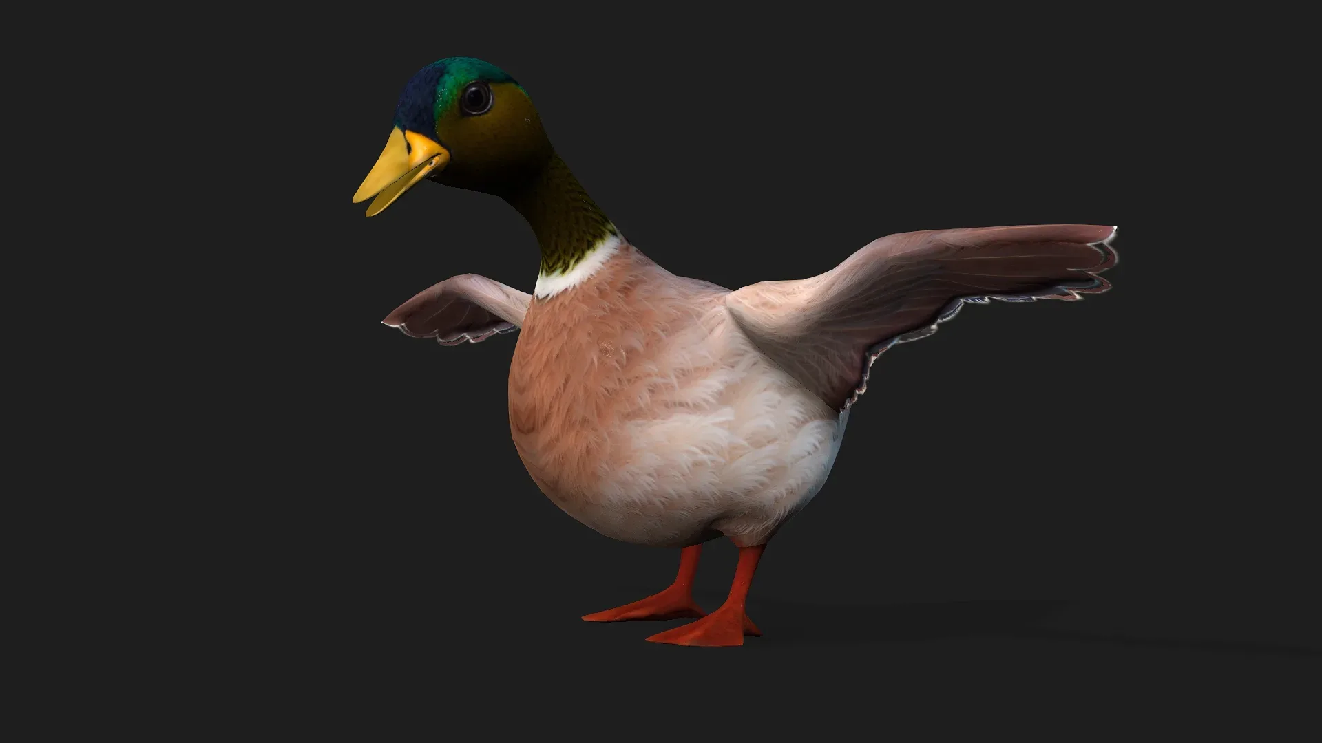 Duck_A3