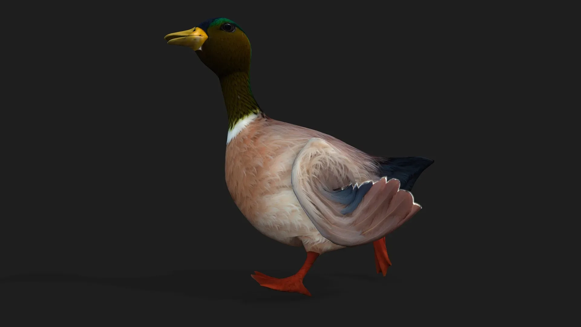 Duck_A3