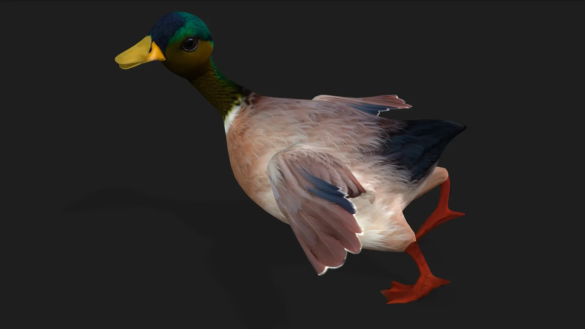 Duck_A3