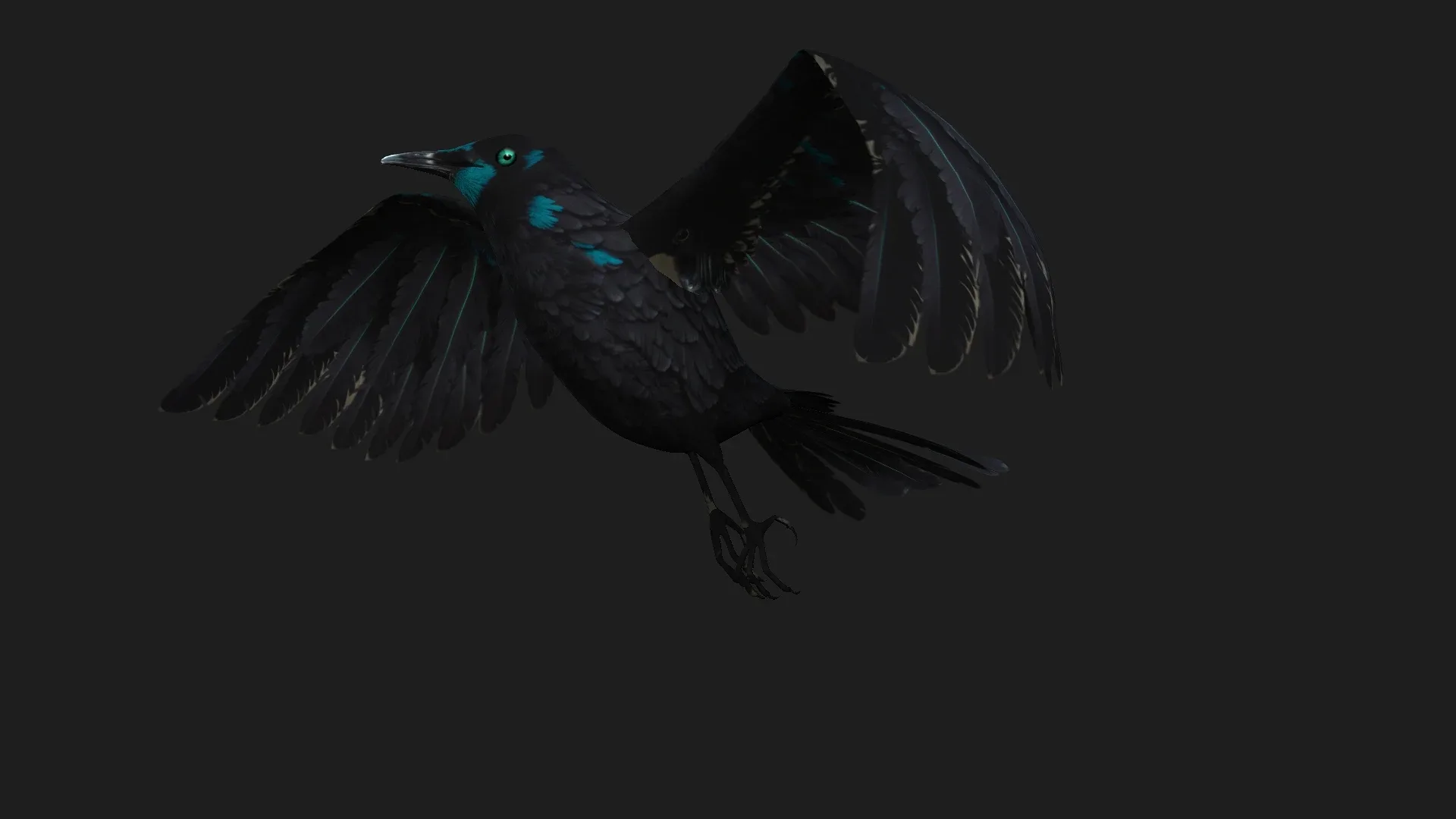 Raven_A2